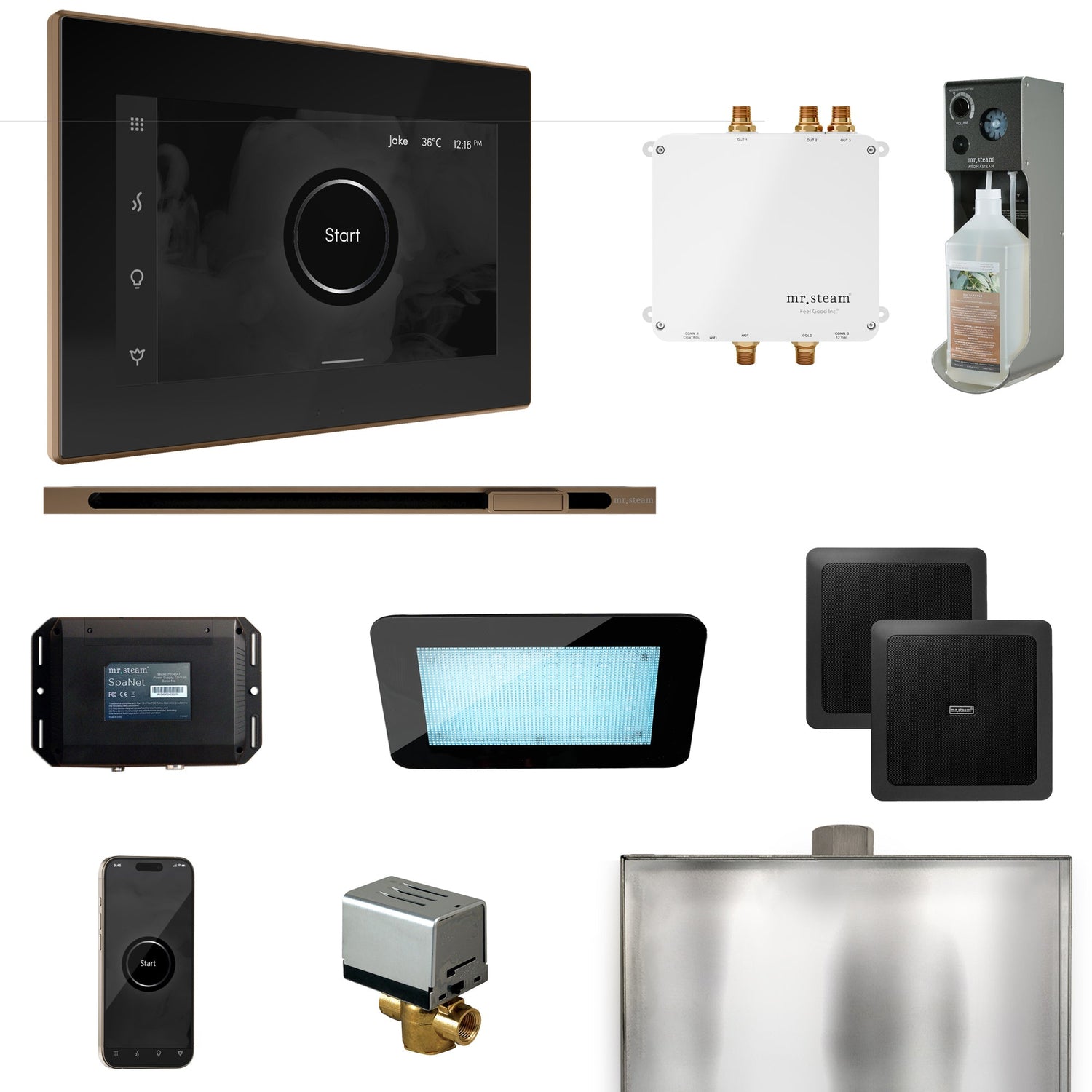 Mr. Steam Bliss Steam Shower Control Package with iSteamX Control and Linear Steamhead