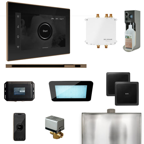 Mr. Steam Bliss Steam Shower Control Package with iSteamX Control and Linear Steamhead