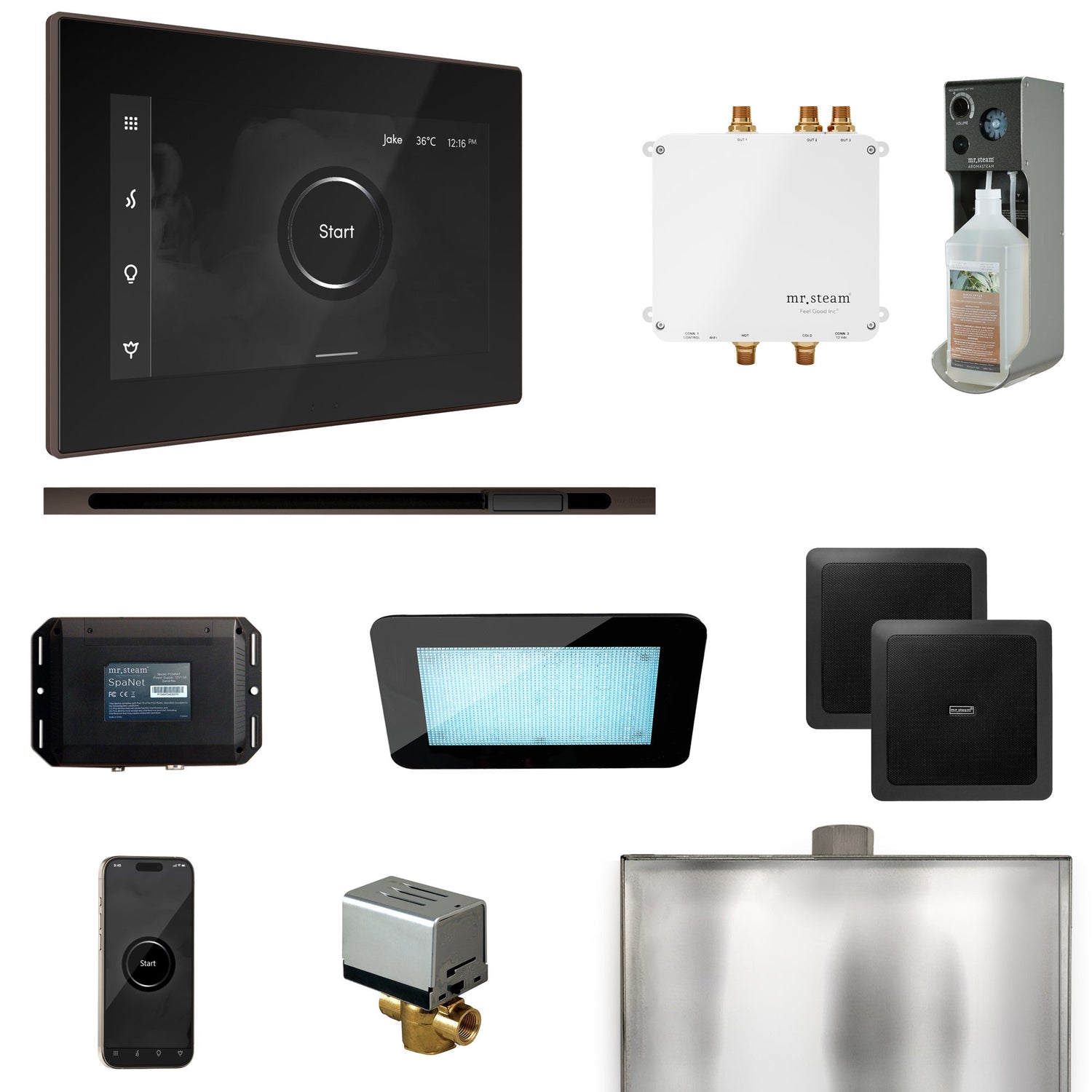 Mr. Steam Bliss Steam Shower Control Package with iSteamX Control and Linear Steamhead