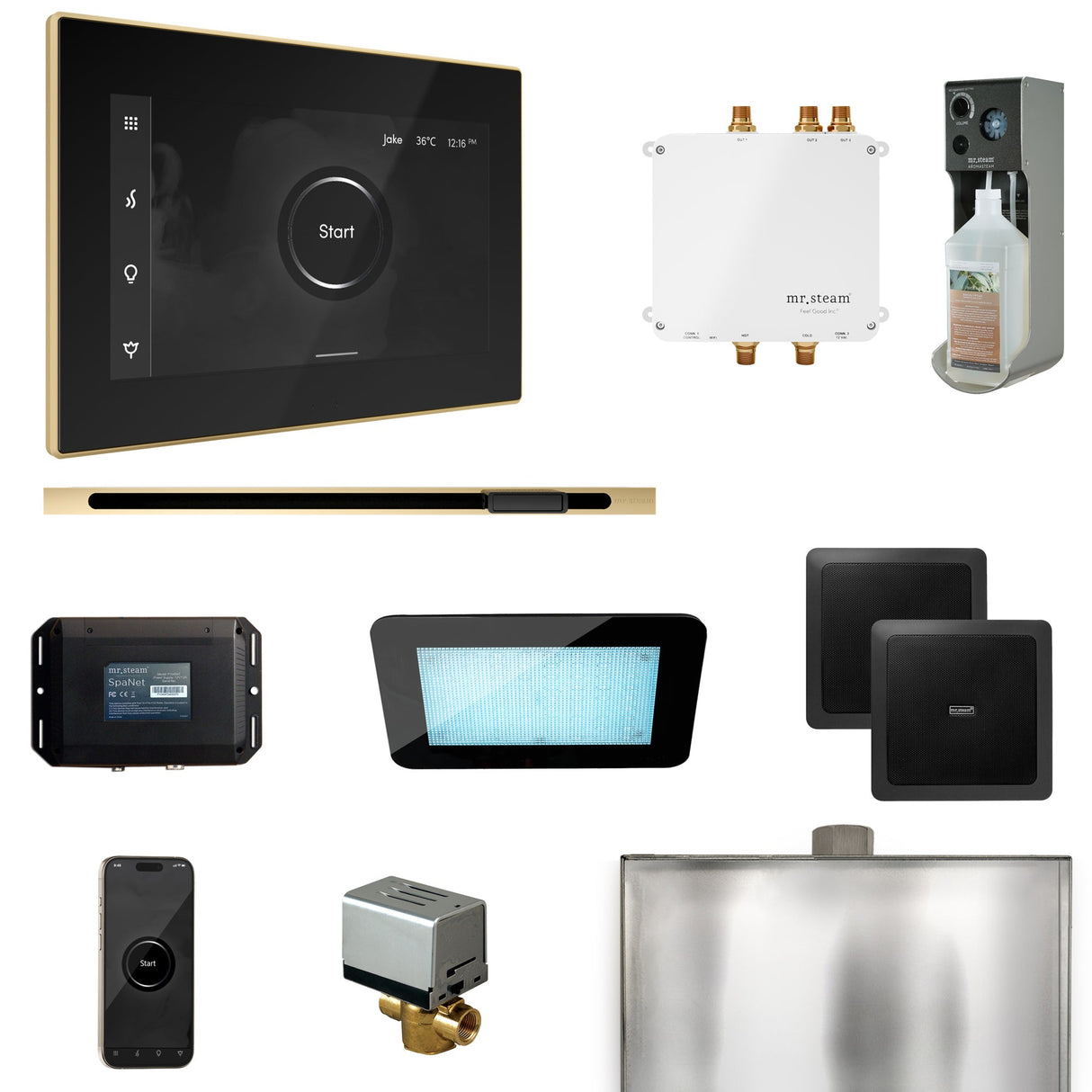 Mr. Steam Bliss Steam Shower Control Package with iSteamX Control and Linear Steamhead