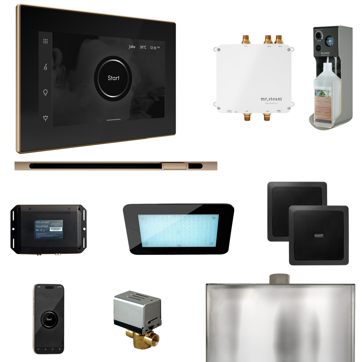 Mr. Steam Bliss Steam Shower Control Package with iSteamX Control and Linear Steamhead
