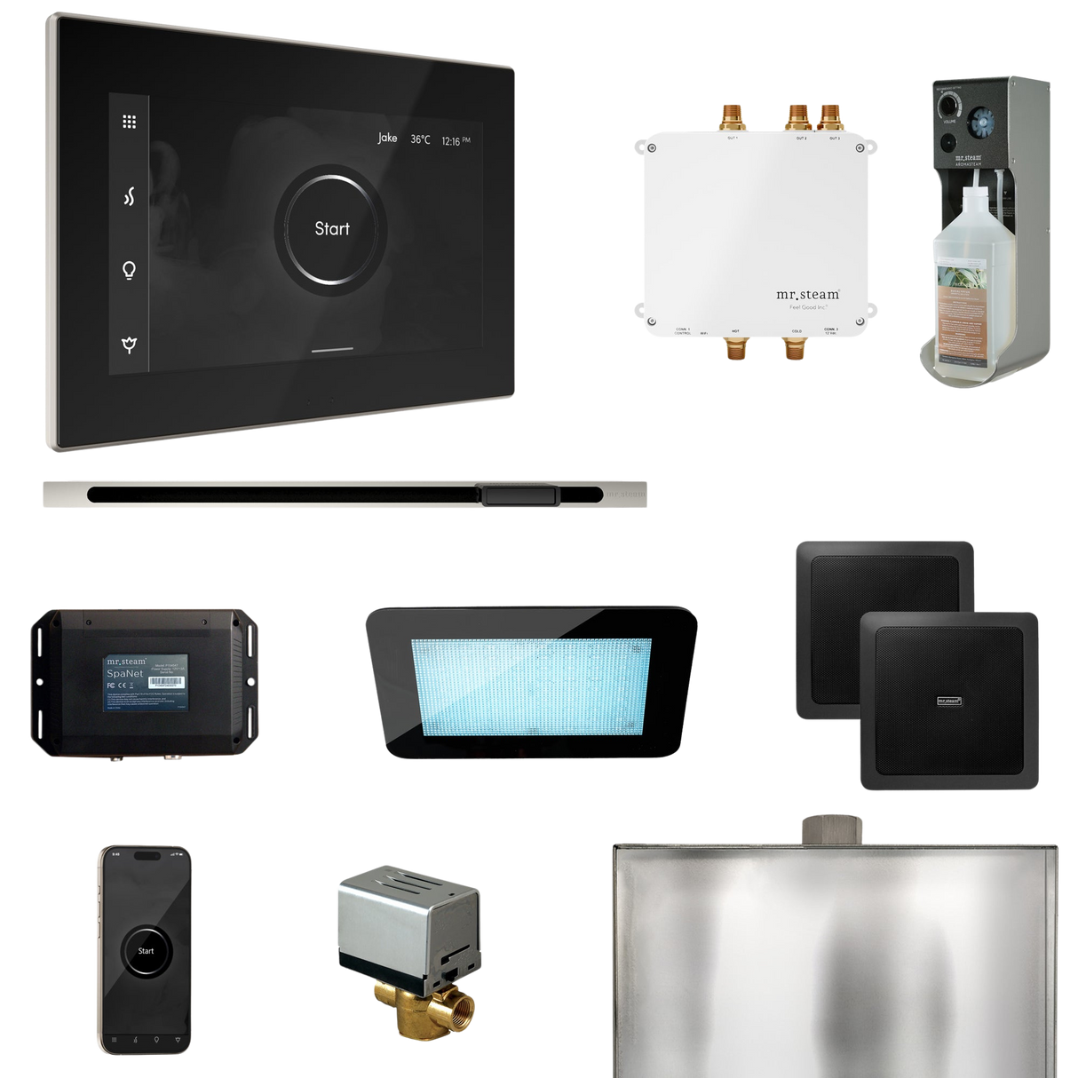 Mr. Steam Bliss Steam Shower Control Package with iSteamX Control and Linear Steamhead