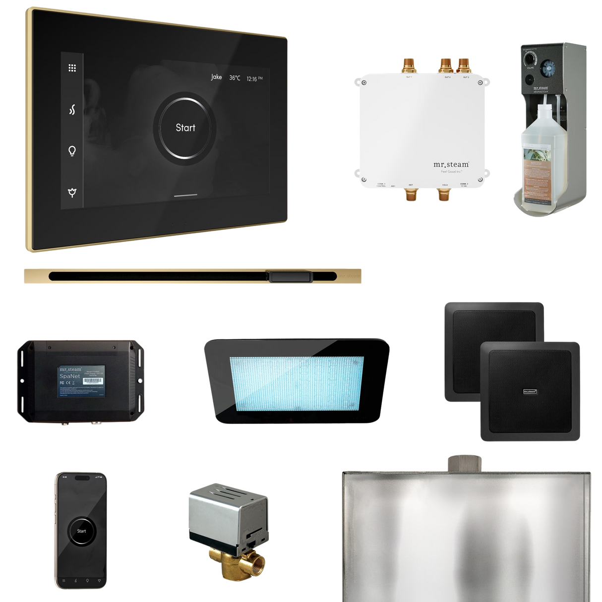 Mr. Steam Bliss Steam Shower Control Package with iSteamX Control and Linear Steamhead