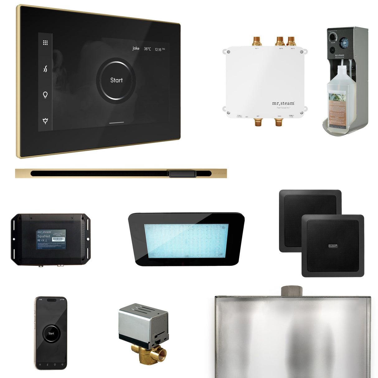 Mr. Steam Bliss Steam Shower Control Package with iSteamX Control and Linear Steamhead