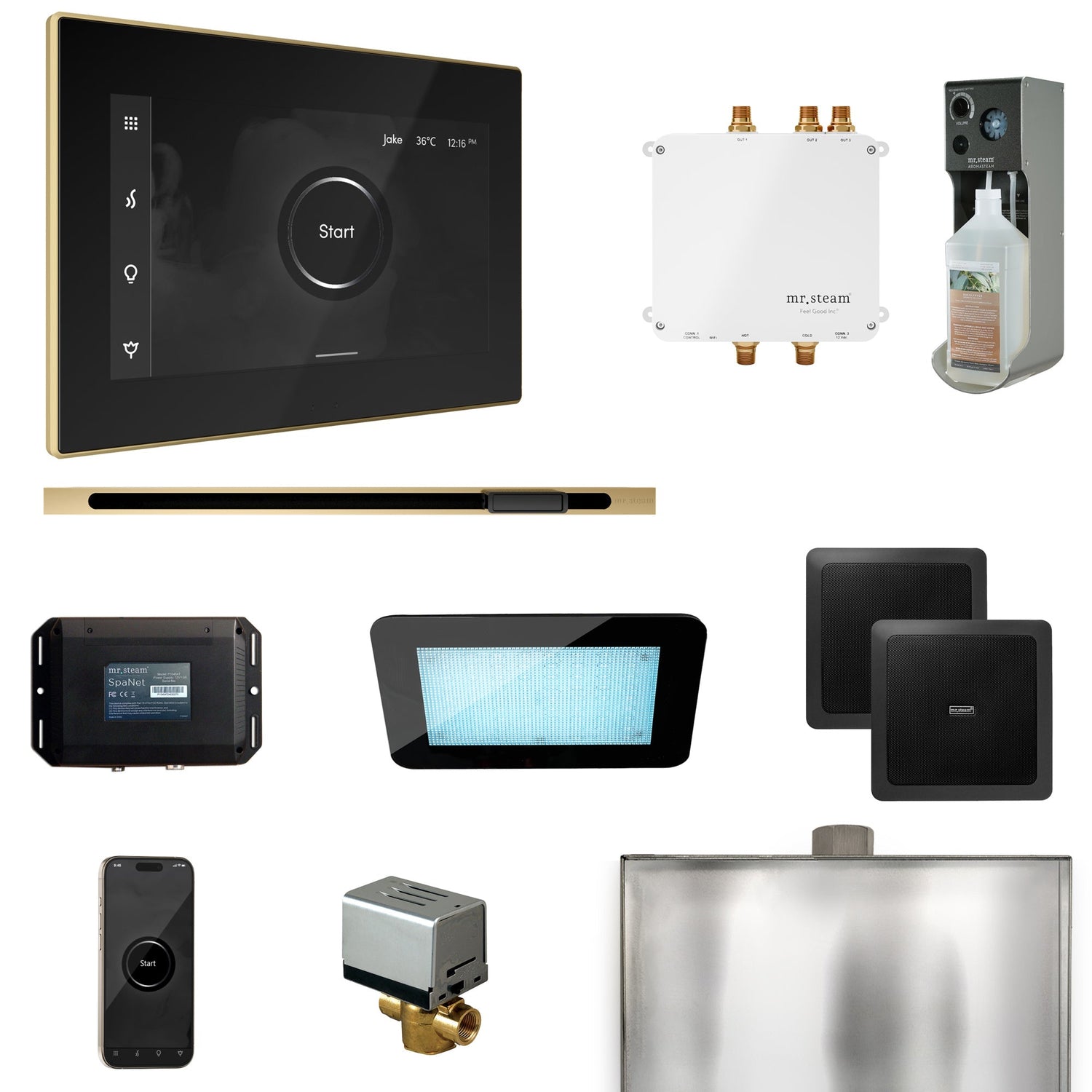 Mr. Steam Bliss Steam Shower Control Package with iSteamX Control and Linear Steamhead