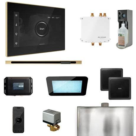 Mr. Steam Bliss Steam Shower Control Package with iSteamX Control and Linear Steamhead