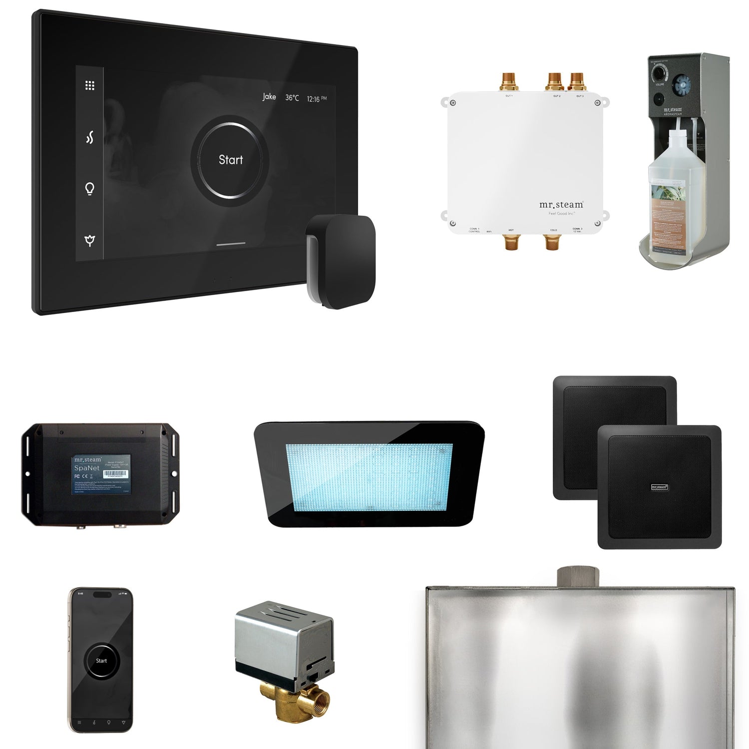 Mr. Steam Bliss Steam Shower Control Package with iSteamX Control and Steamhead
