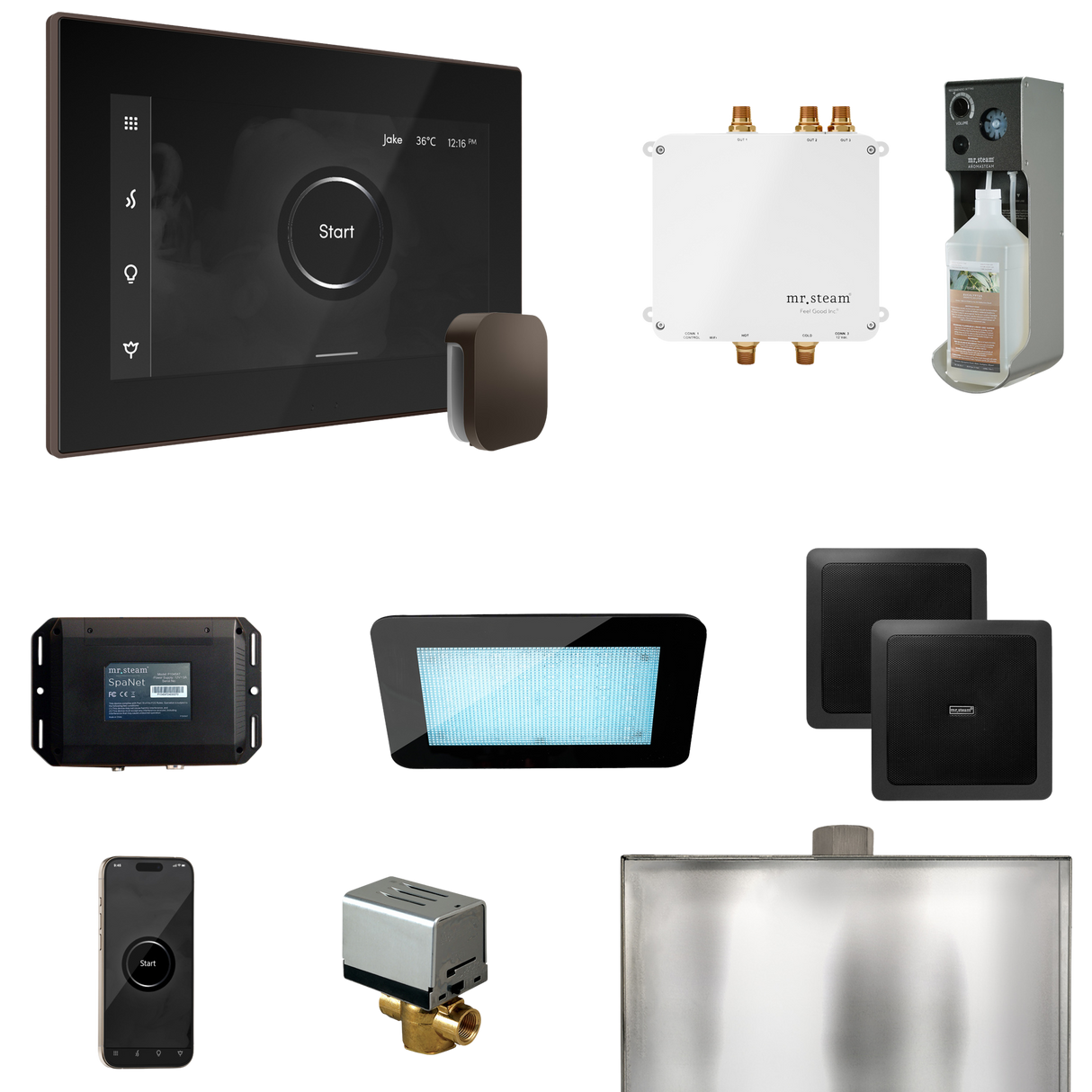 Mr. Steam Bliss Steam Shower Control Package with iSteamX Control and Steamhead