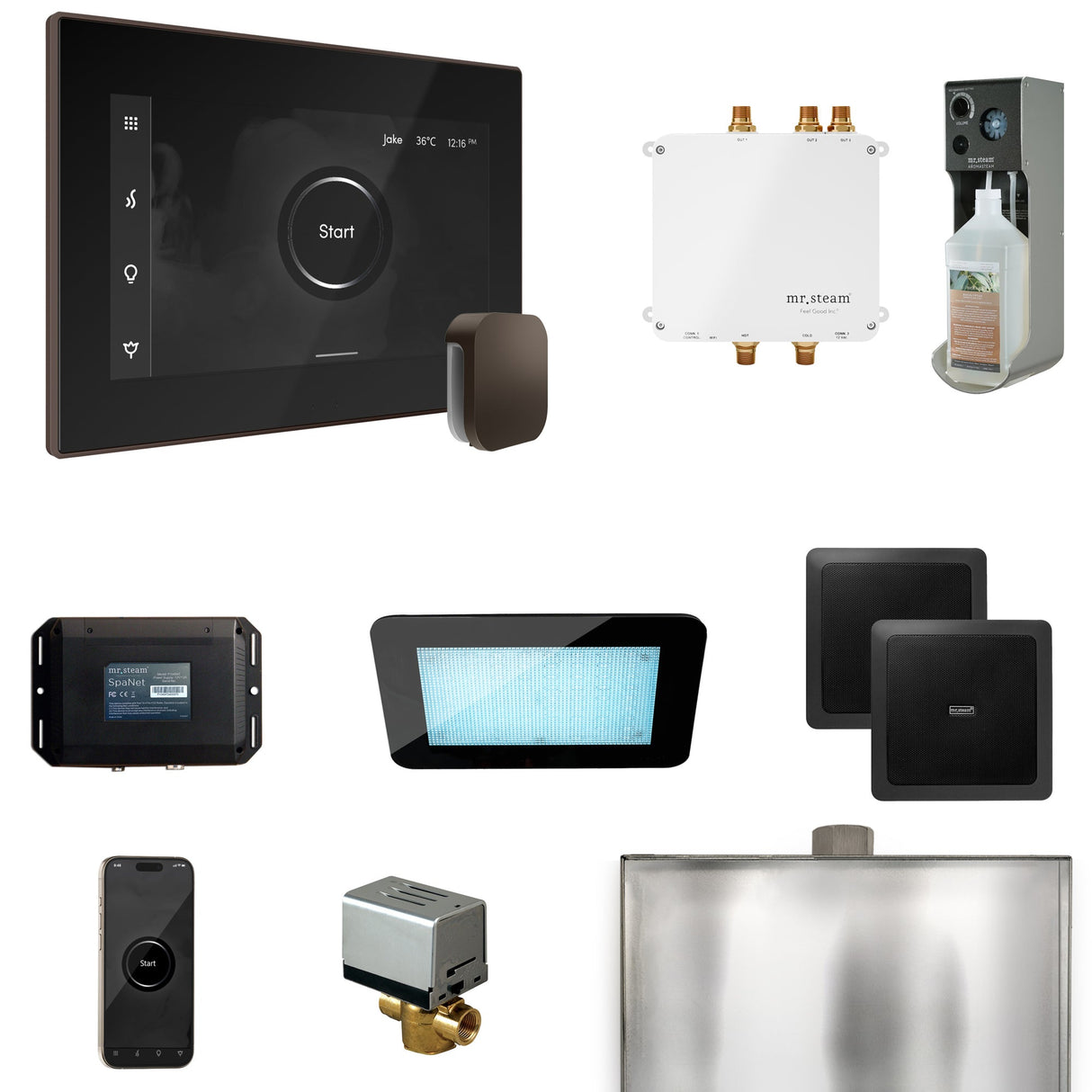 Mr. Steam Bliss Steam Shower Control Package with iSteamX Control and Steamhead