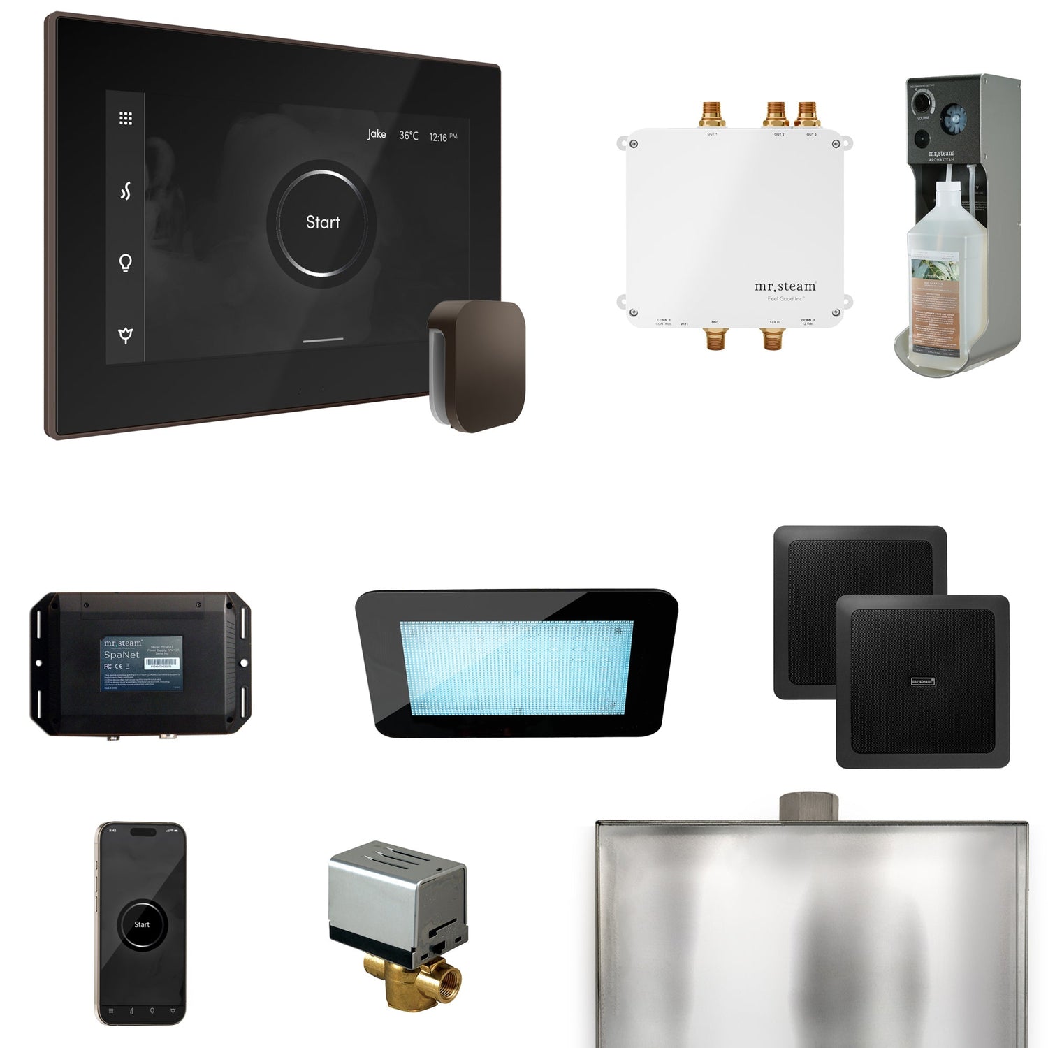 Mr. Steam Bliss Steam Shower Control Package with iSteamX Control and Steamhead