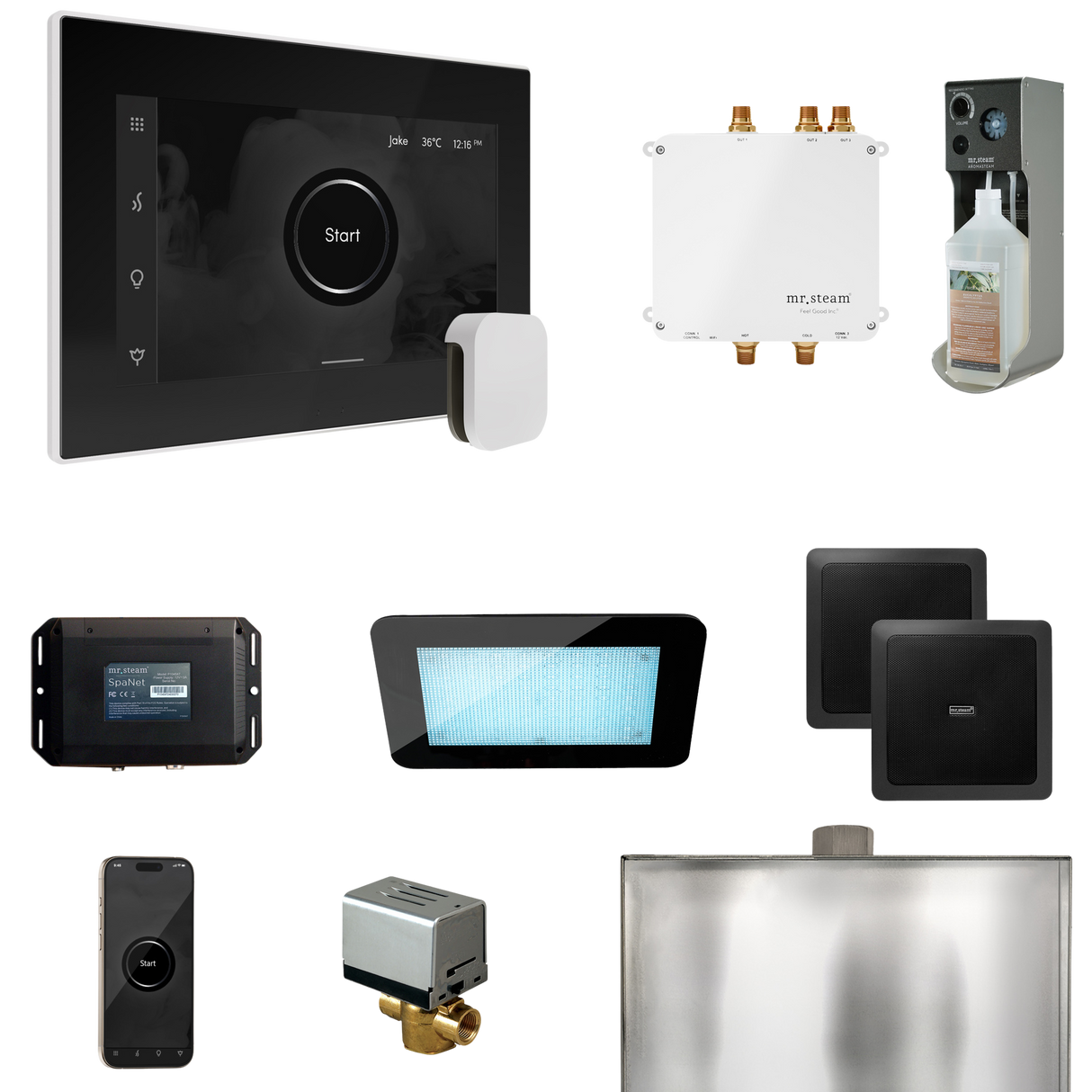 Mr. Steam Bliss Steam Shower Control Package with iSteamX Control and Steamhead