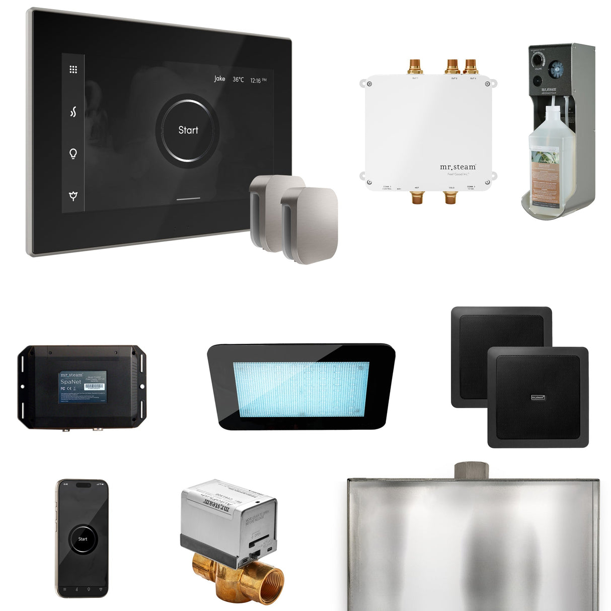 Mr. Steam Bliss Max Steam Shower Control Package with iSteamX Control and Steamhead