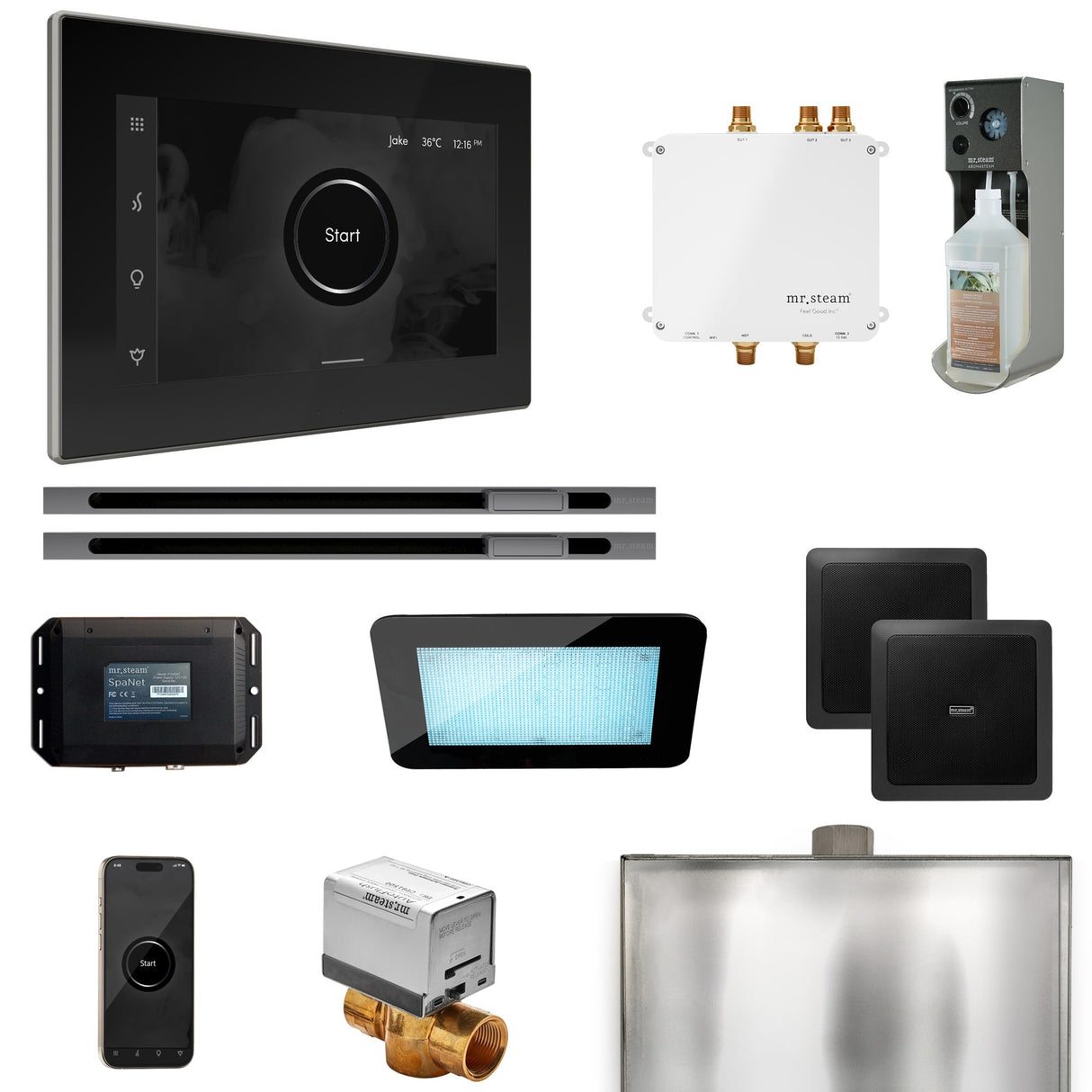 Mr. Steam Bliss Max Steam Shower Control Package with iSteamX Control and Linear Steamhead