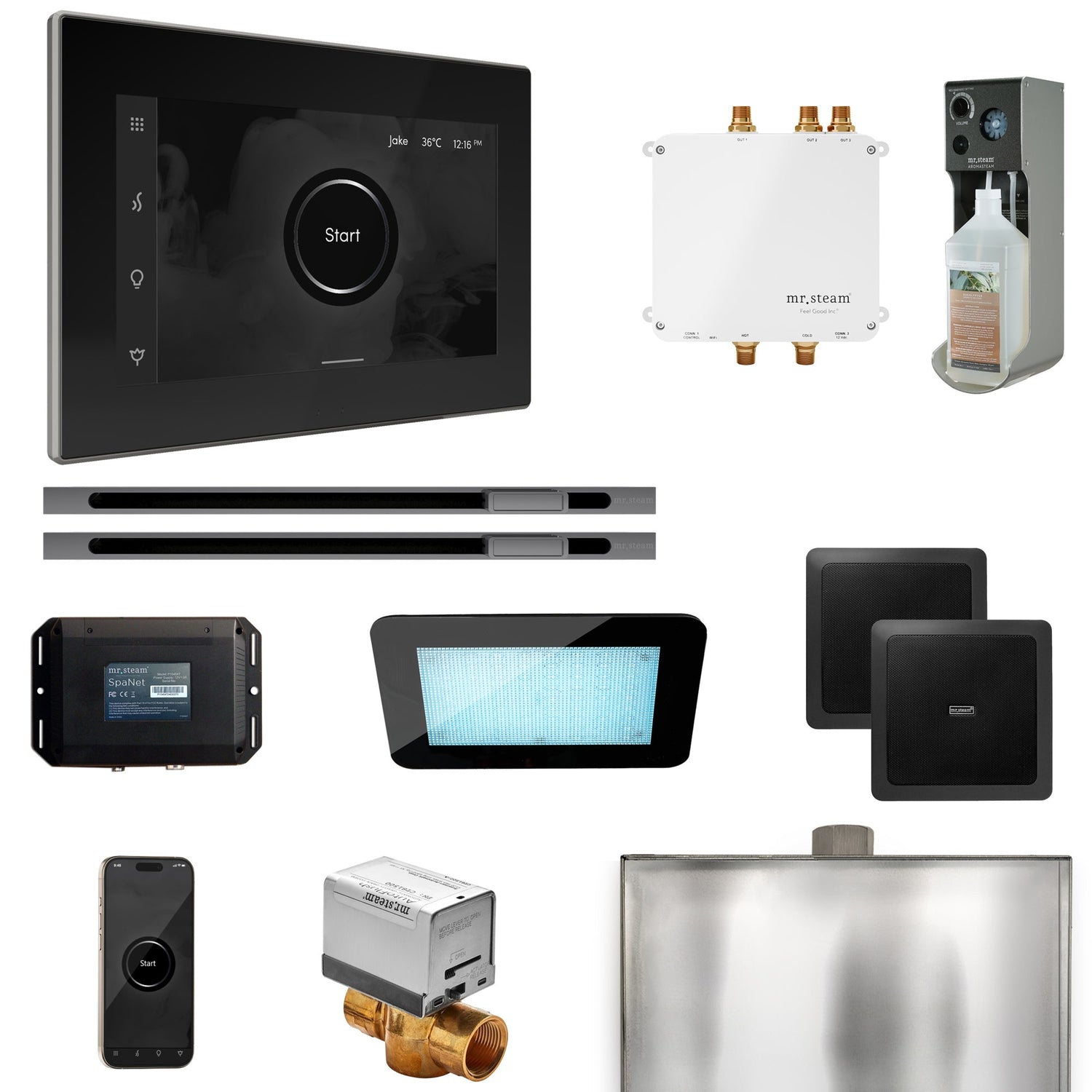 Mr. Steam Bliss Max Steam Shower Control Package with iSteamX Control and Linear Steamhead