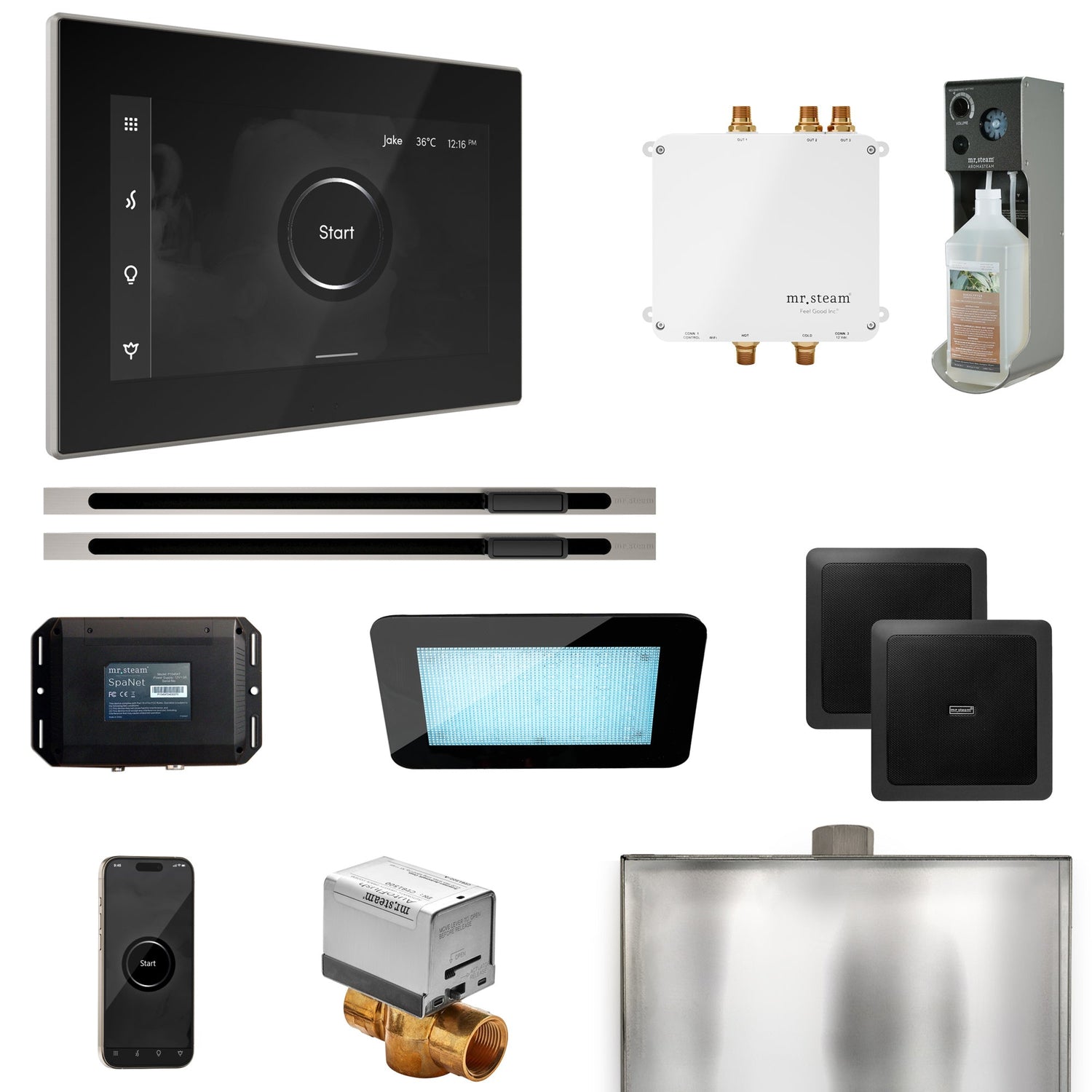 Mr. Steam Bliss Max Steam Shower Control Package with iSteamX Control and Linear Steamhead