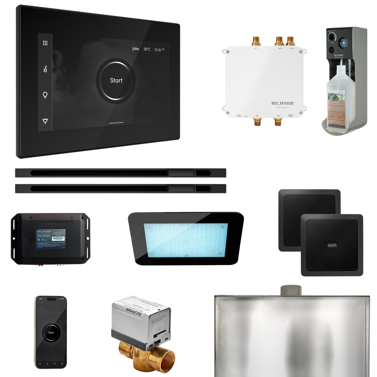 Mr. Steam Bliss Max Steam Shower Control Package with iSteamX Control and Linear Steamhead