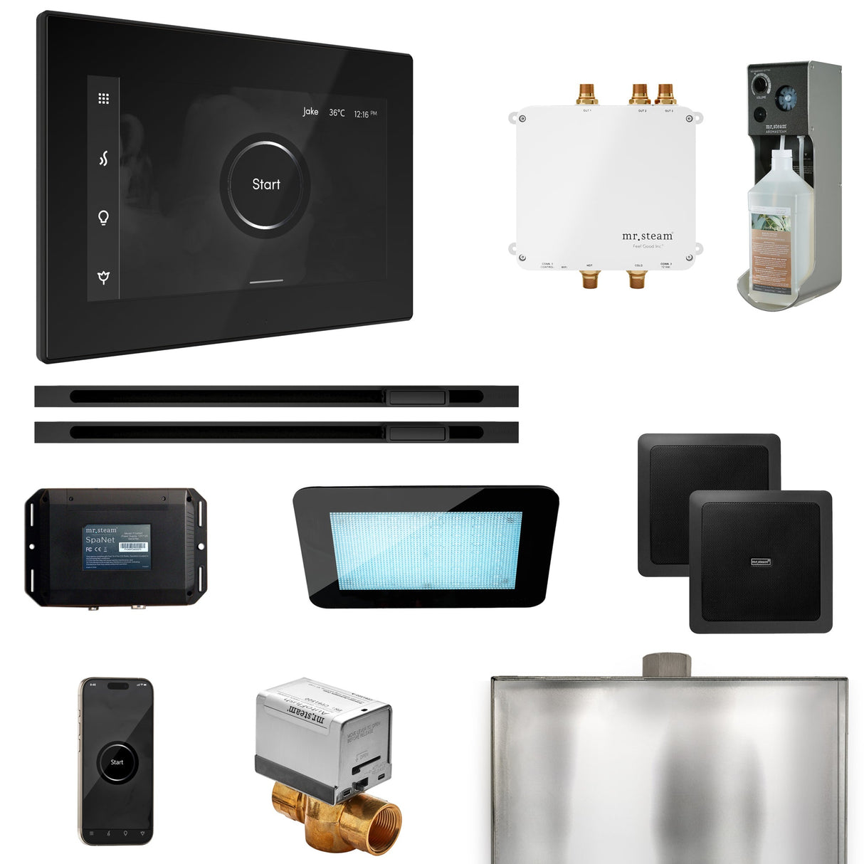 Mr. Steam Bliss Max Steam Shower Control Package with iSteamX Control and Linear Steamhead