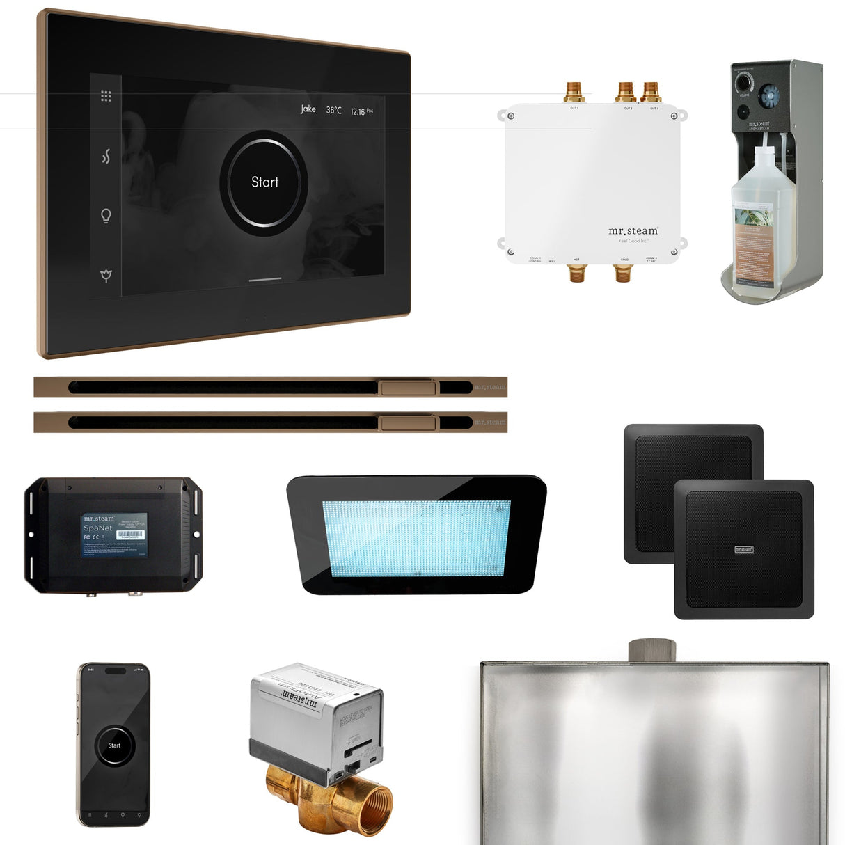 Mr. Steam Bliss Max Steam Shower Control Package with iSteamX Control and Linear Steamhead