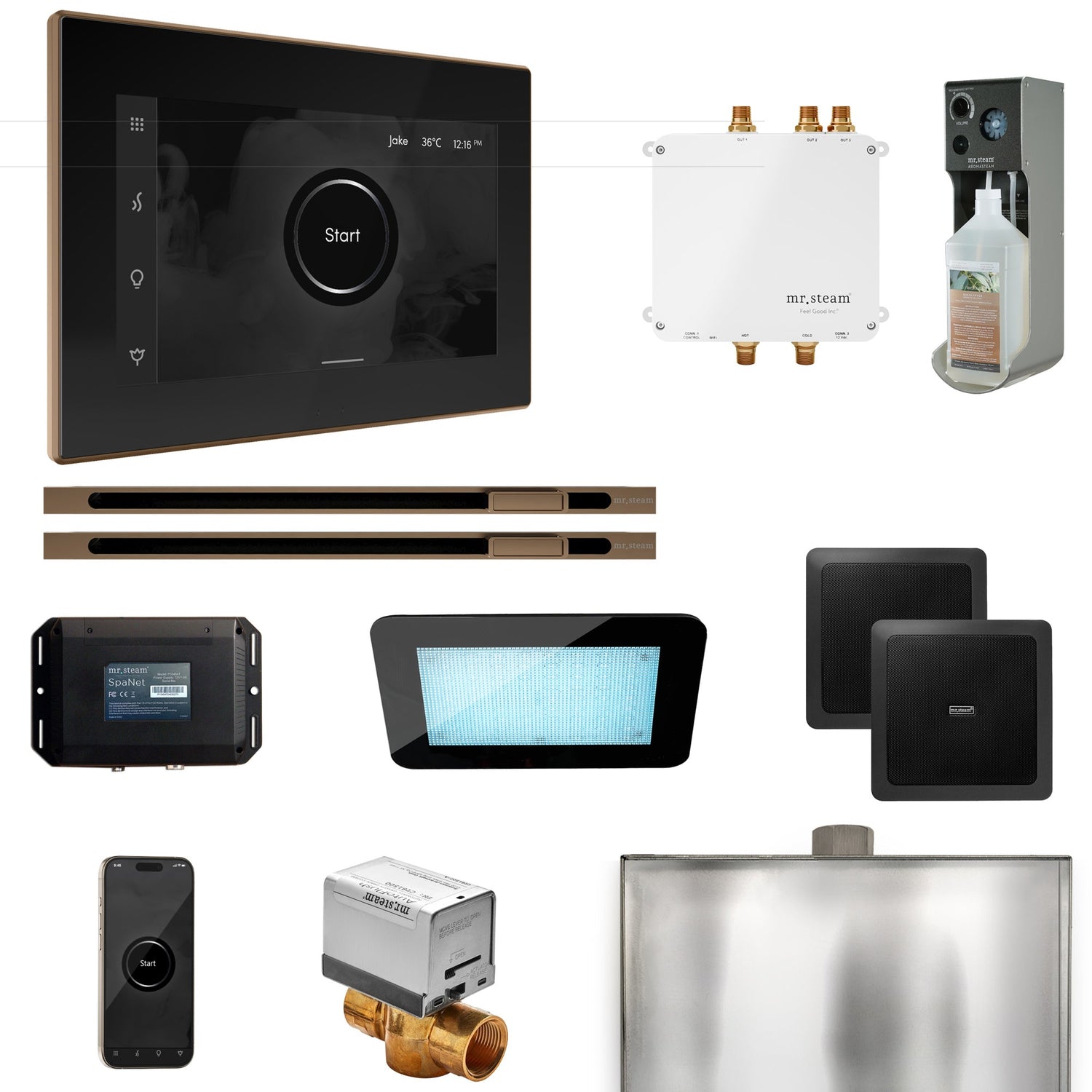Mr. Steam Bliss Max Steam Shower Control Package with iSteamX Control and Linear Steamhead