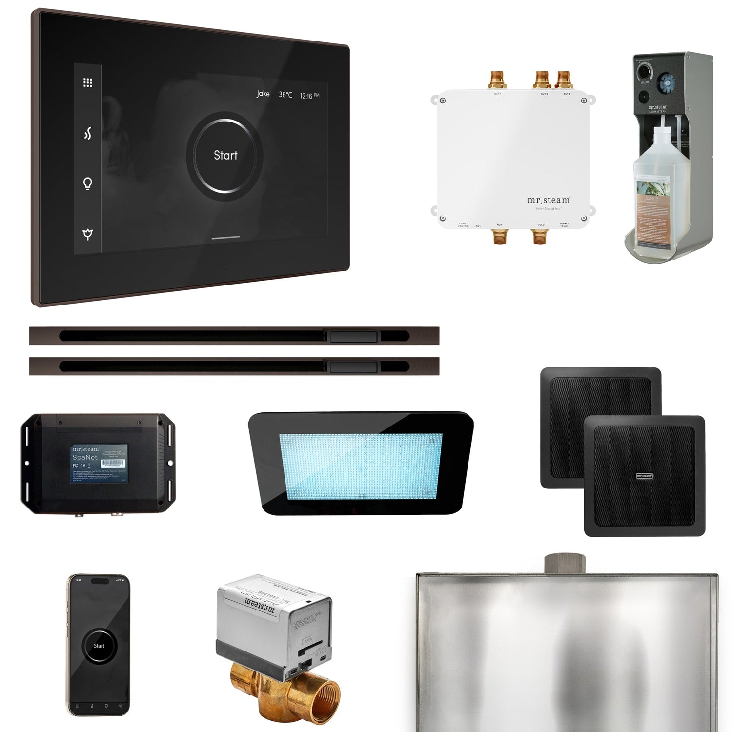 Mr. Steam Bliss Max Steam Shower Control Package with iSteamX Control and Linear Steamhead