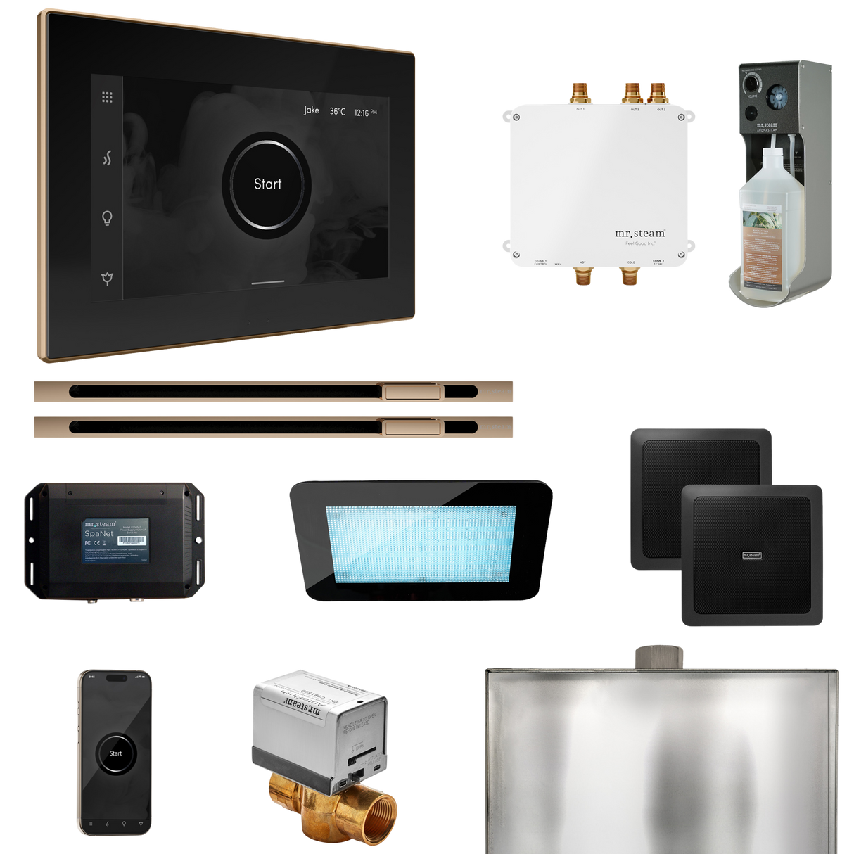 Mr. Steam Bliss Max Steam Shower Control Package with iSteamX Control and Linear Steamhead