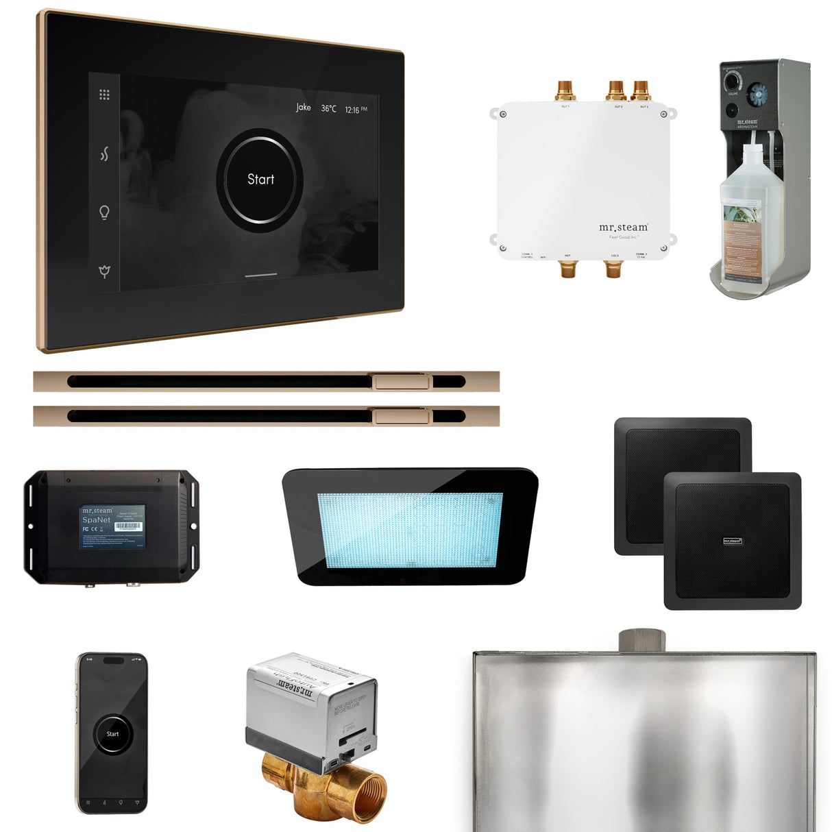 Mr. Steam Bliss Max Steam Shower Control Package with iSteamX Control and Linear Steamhead