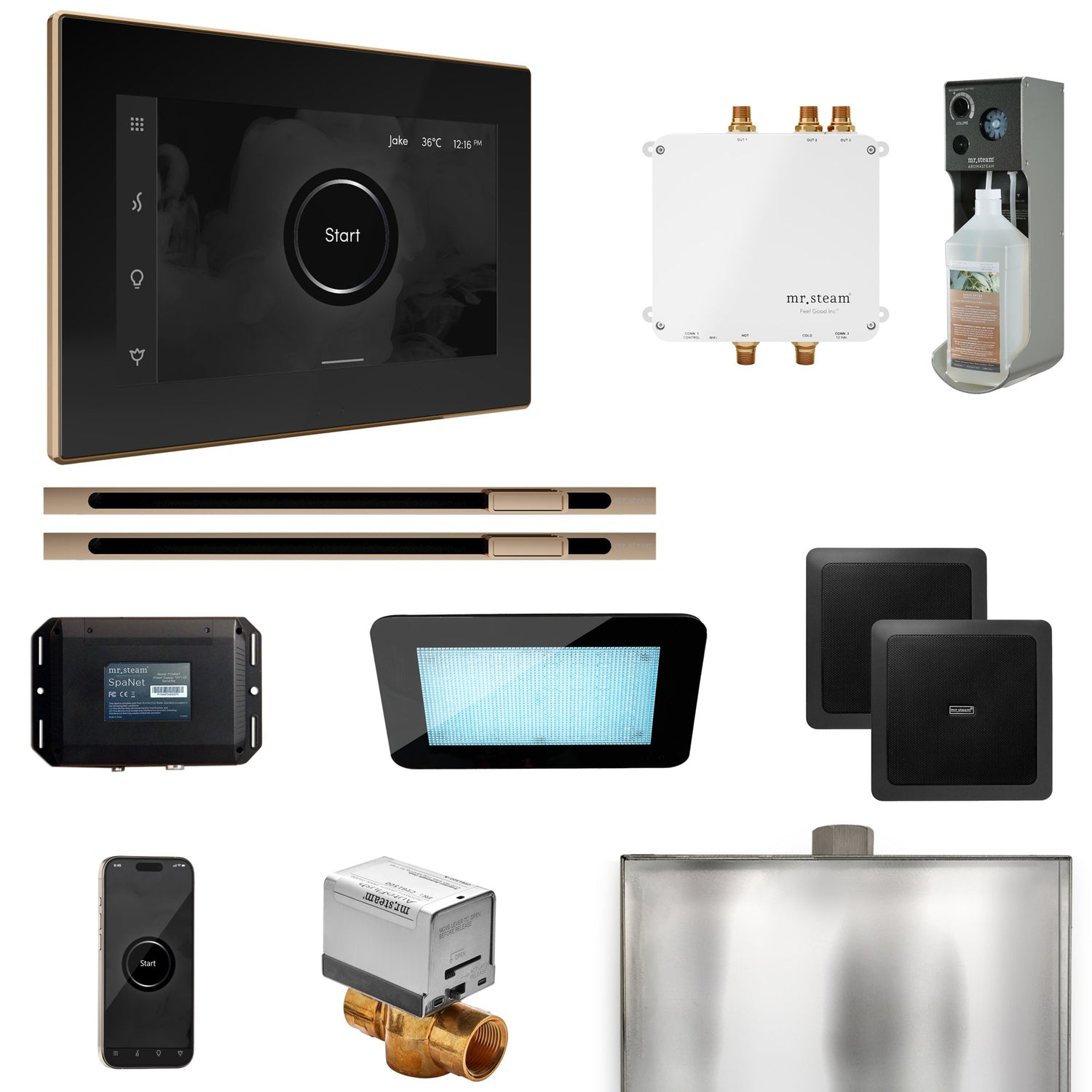 Mr. Steam Bliss Max Steam Shower Control Package with iSteamX Control and Linear Steamhead