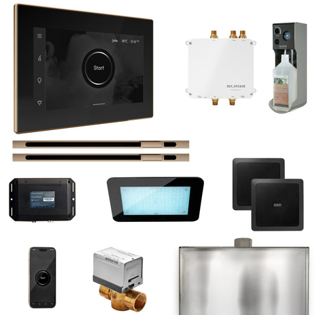 Mr. Steam Bliss Max Steam Shower Control Package with iSteamX Control and Linear Steamhead