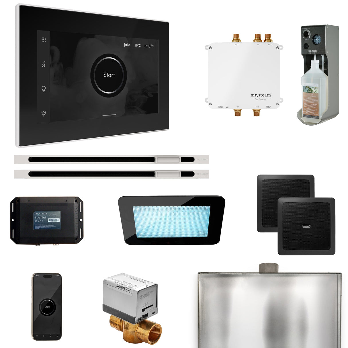Mr. Steam Bliss Max Steam Shower Control Package with iSteamX Control and Linear Steamhead