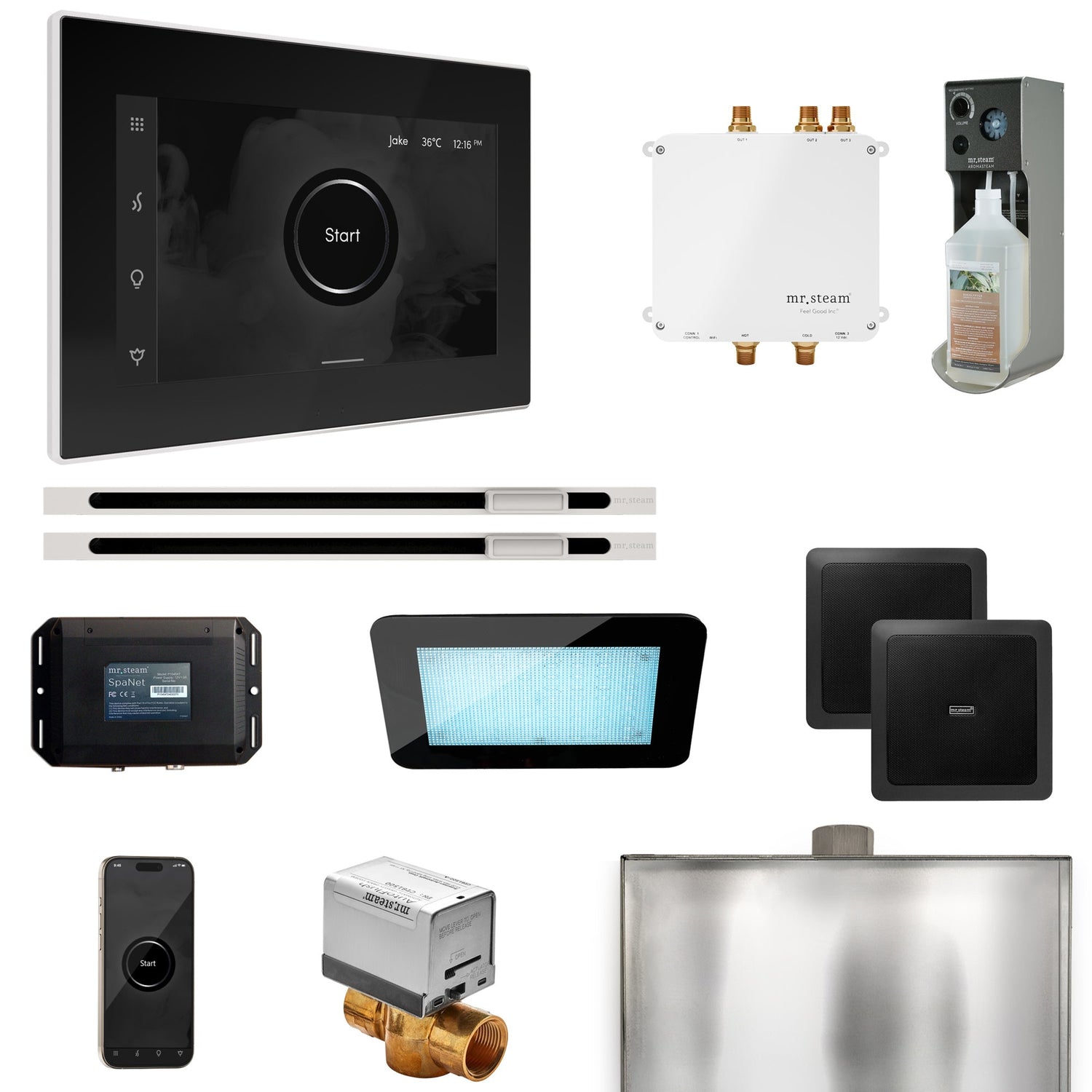 Mr. Steam Bliss Max Steam Shower Control Package with iSteamX Control and Linear Steamhead