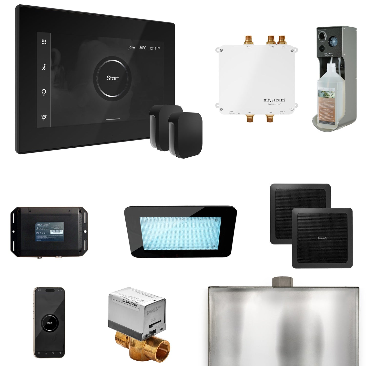 Mr. Steam Bliss Max Steam Shower Control Package with iSteamX Control and Steamhead