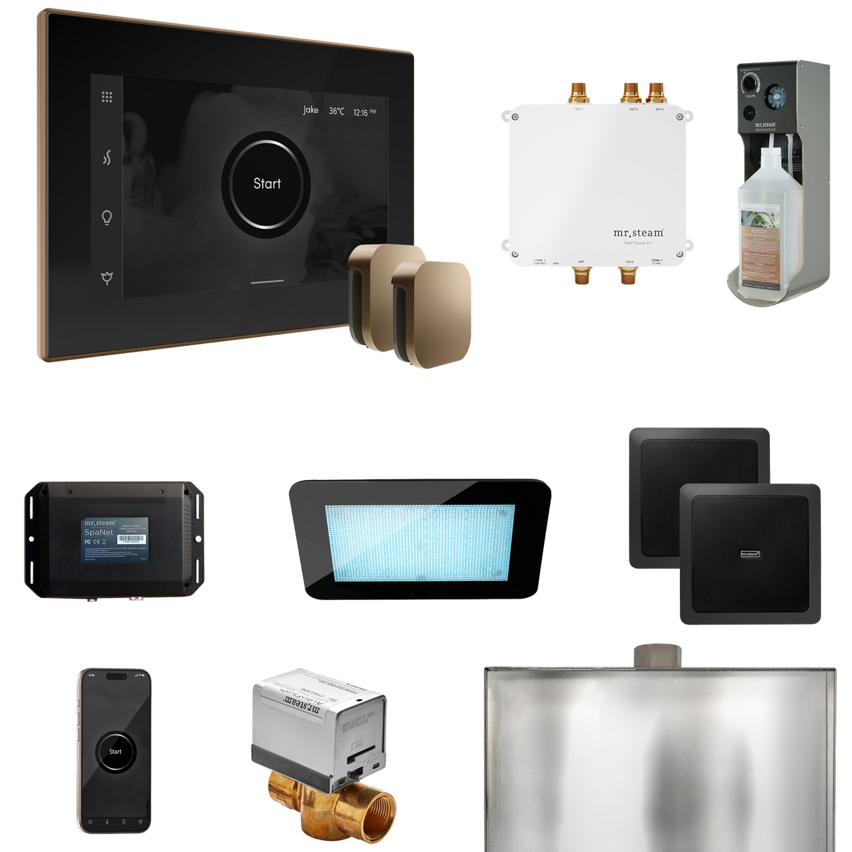 Mr. Steam Bliss Max Steam Shower Control Package with iSteamX Control and Steamhead