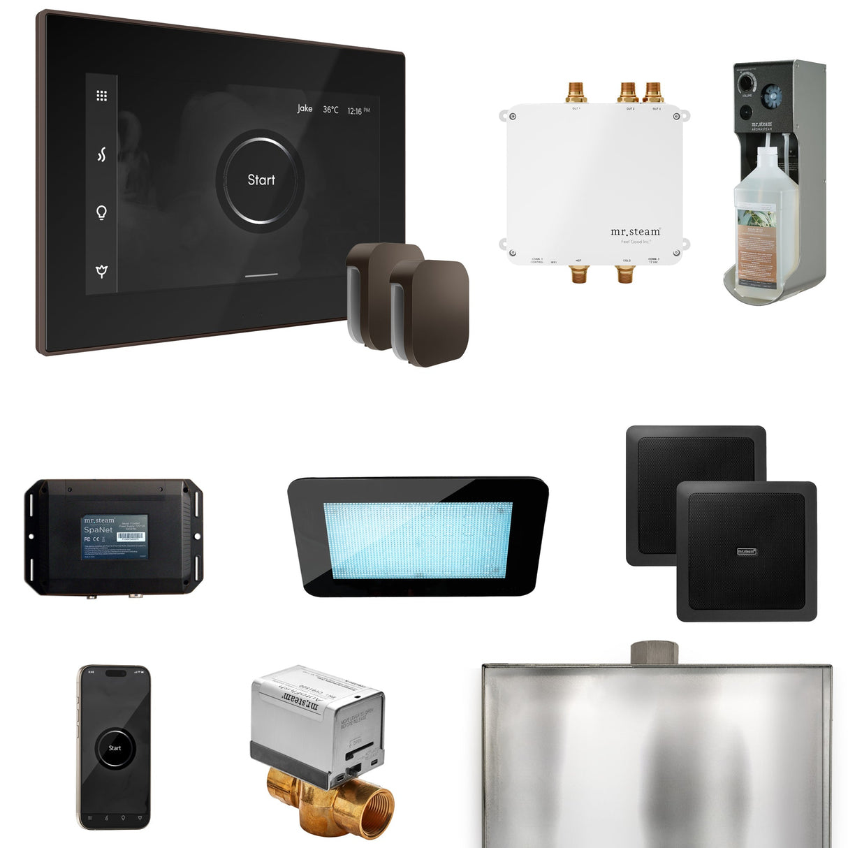 Mr. Steam Bliss Max Steam Shower Control Package with iSteamX Control and Steamhead