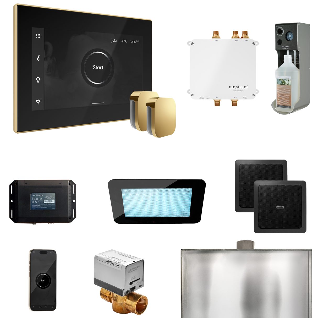 Mr. Steam Bliss Max Steam Shower Control Package with iSteamX Control and Steamhead