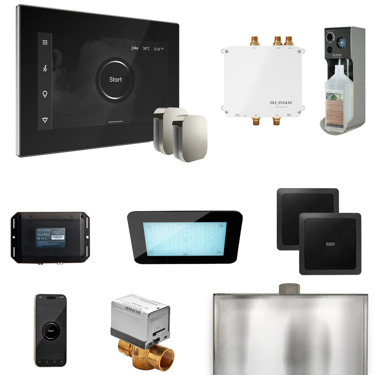 Mr. Steam Bliss Max Steam Shower Control Package with iSteamX Control and Steamhead