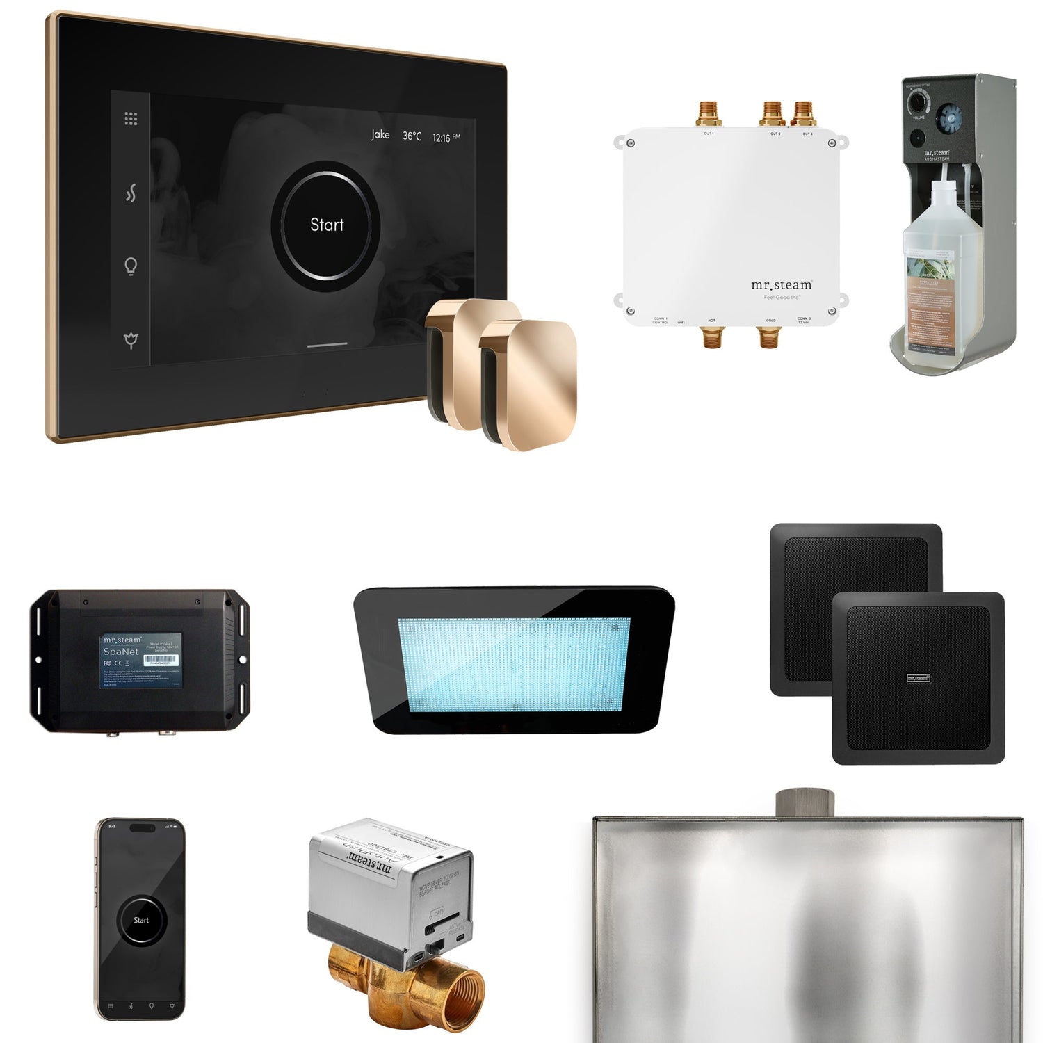 Mr. Steam Bliss Max Steam Shower Control Package with iSteamX Control and Steamhead