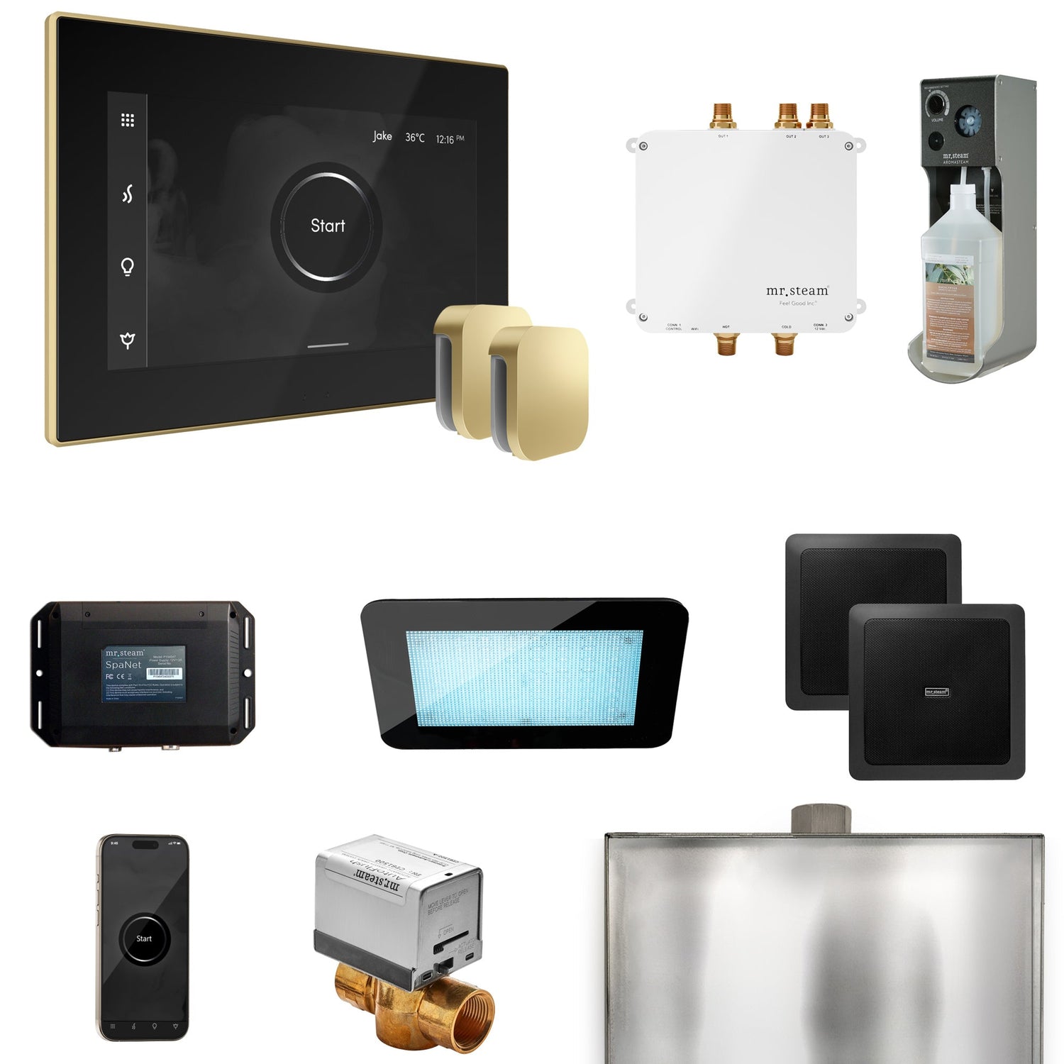 Mr. Steam Bliss Max Steam Shower Control Package with iSteamX Control and Steamhead
