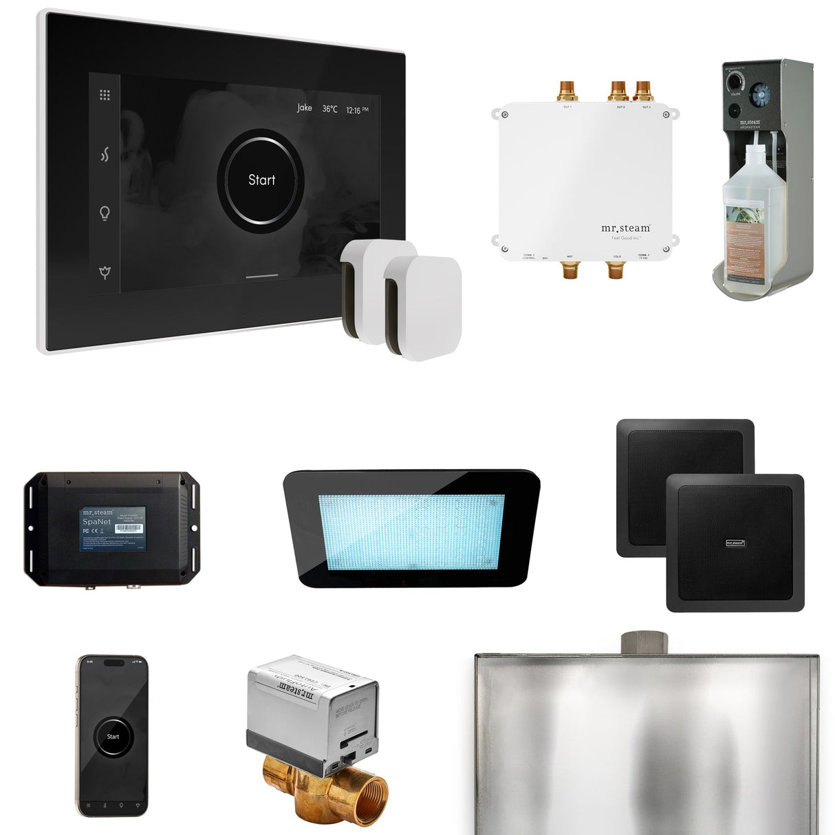 Mr. Steam Bliss Max Steam Shower Control Package with iSteamX Control and Steamhead