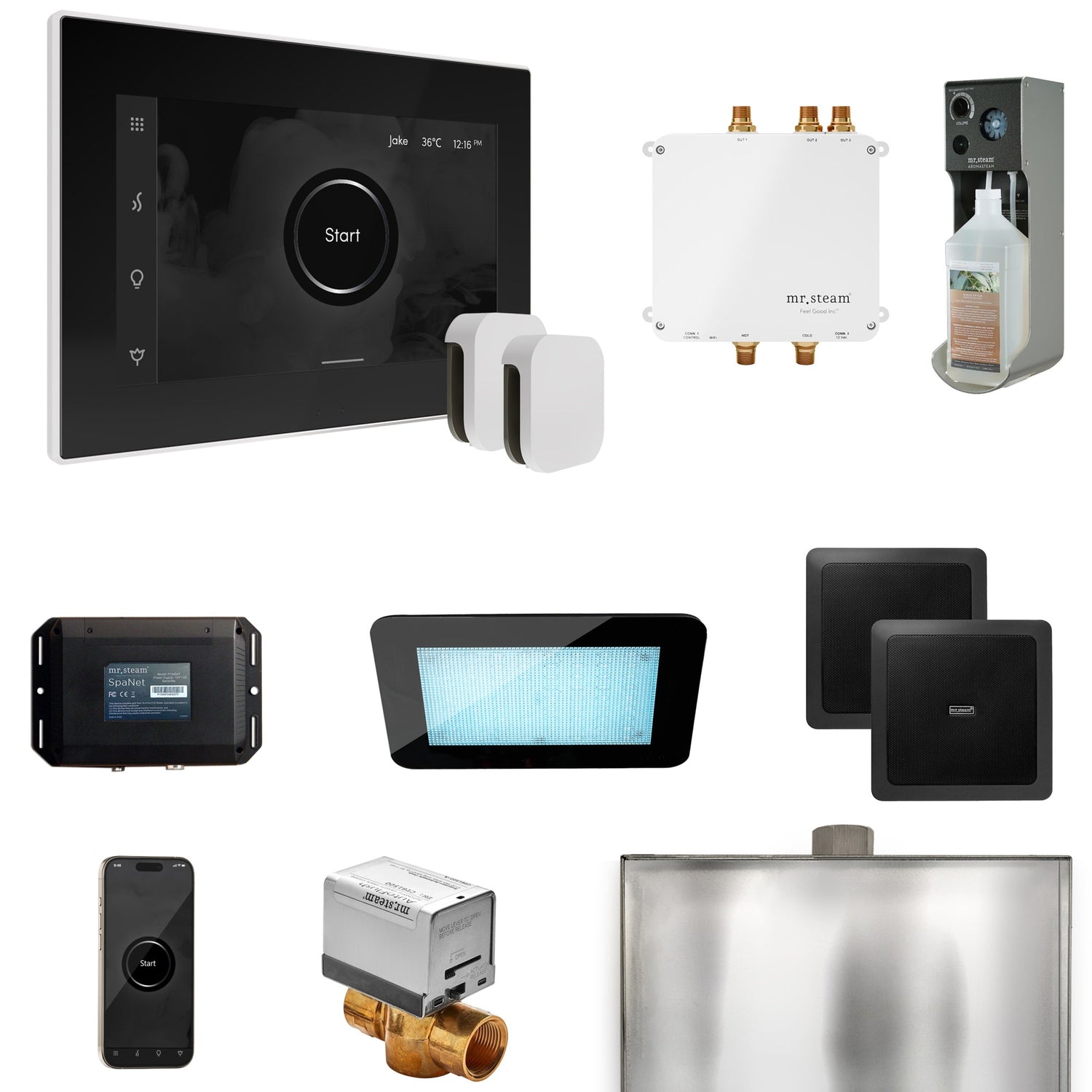 Mr. Steam Bliss Max Steam Shower Control Package with iSteamX Control and Steamhead