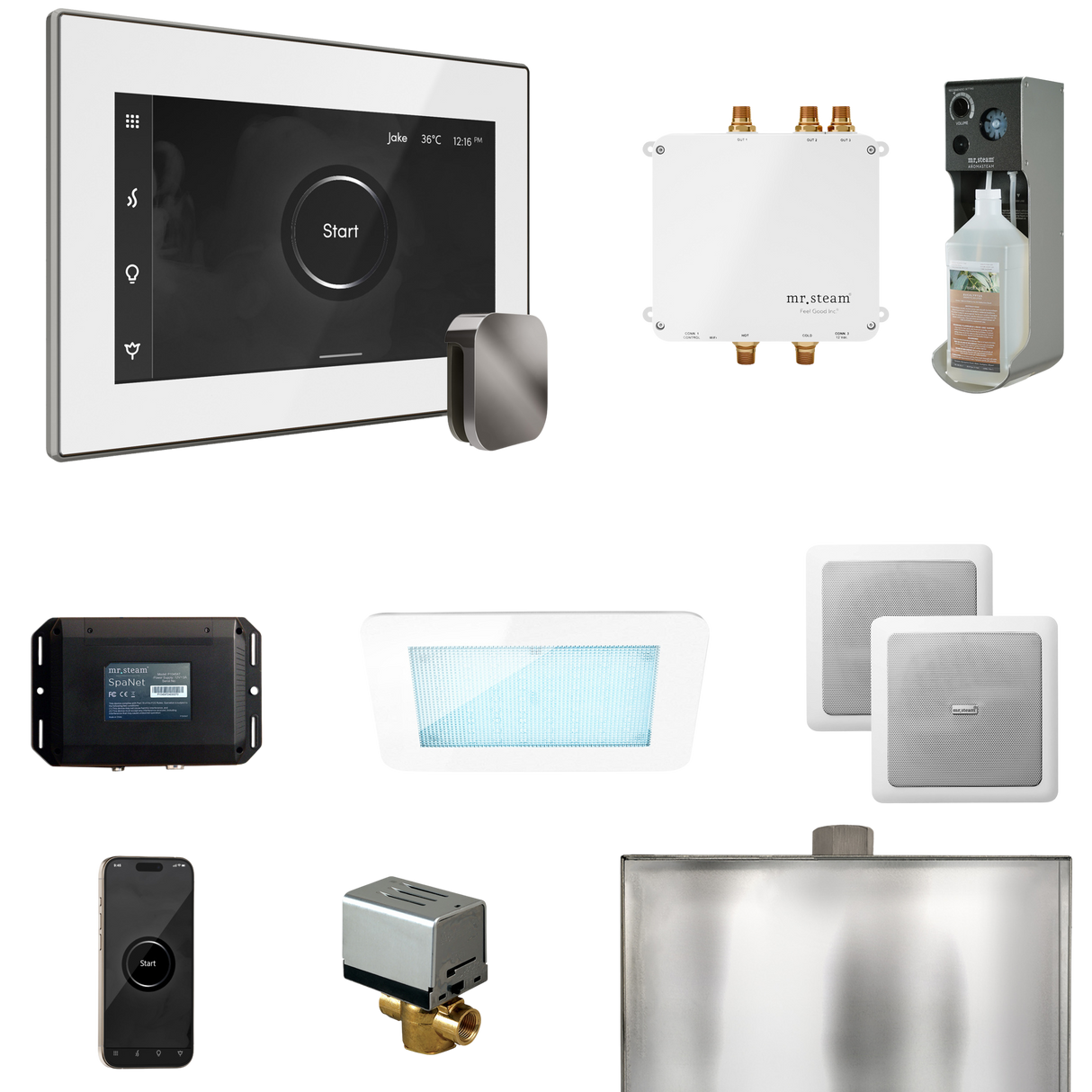 Mr. Steam Bliss Steam Shower Control Package with iSteamX Control and Steamhead