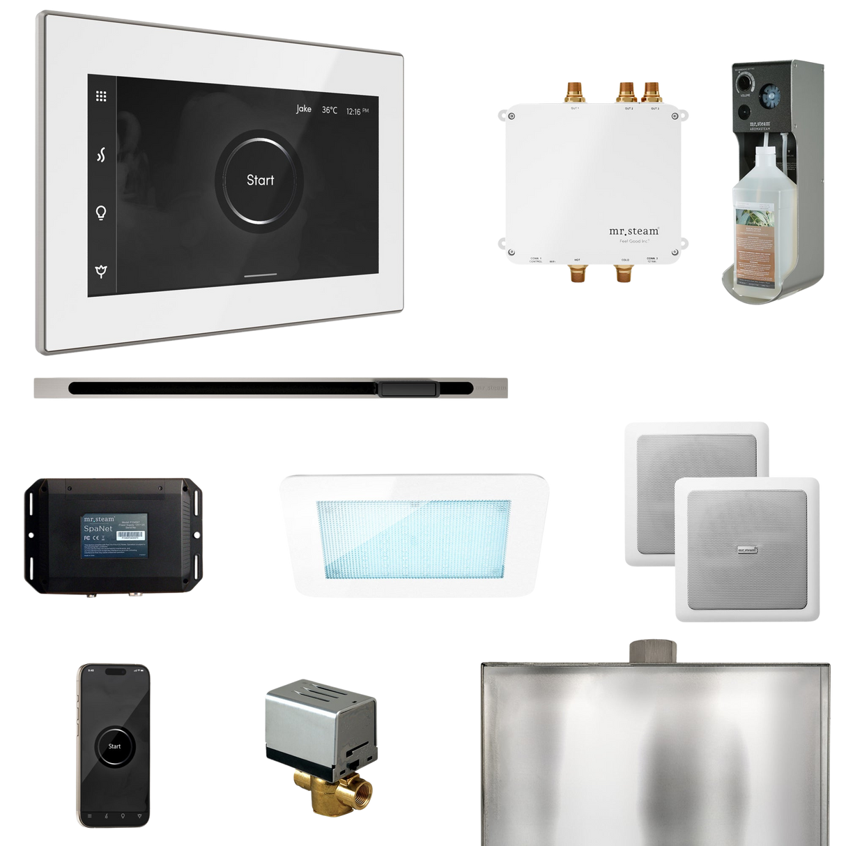 Mr. Steam Bliss Steam Shower Control Package with iSteamX Control and Linear Steamhead