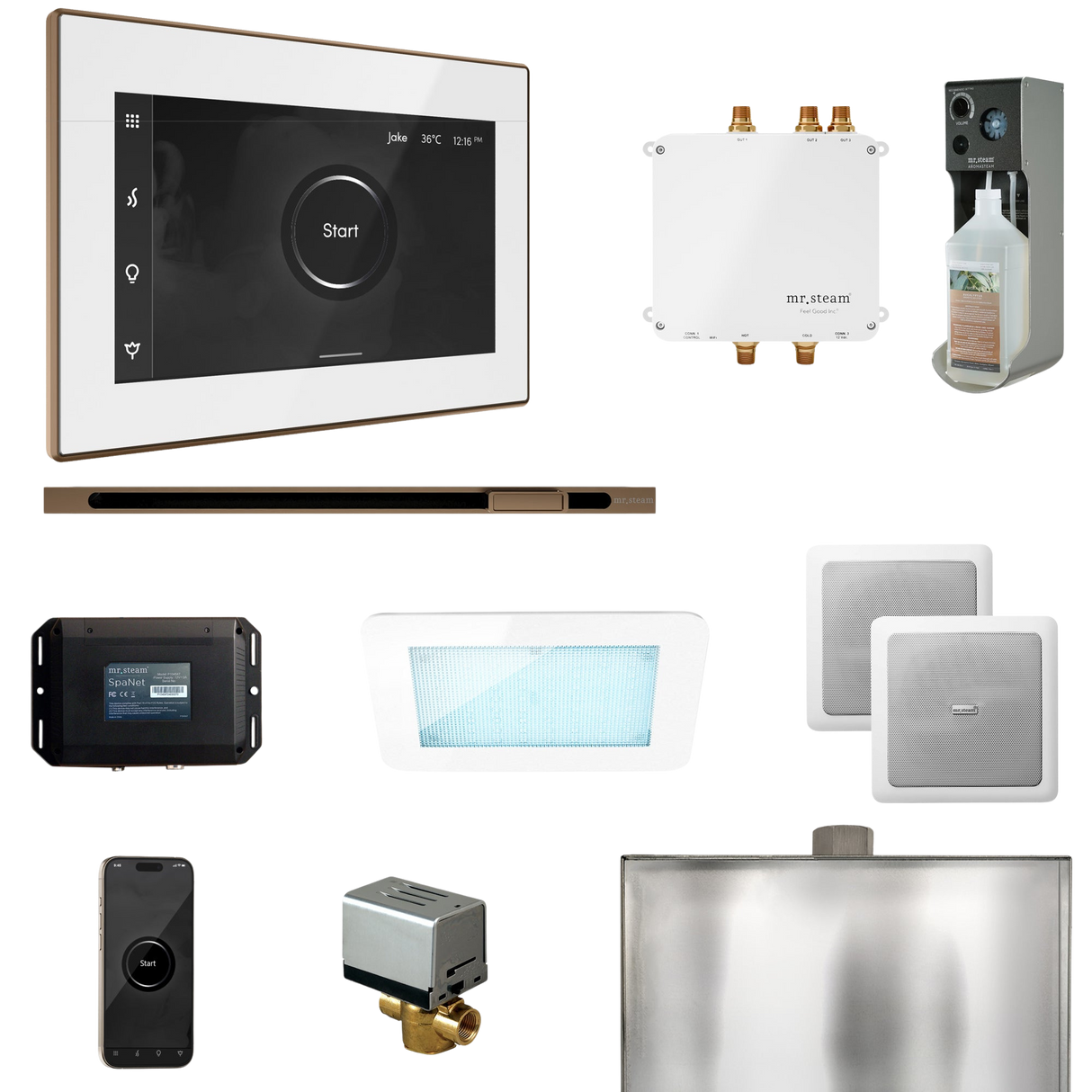 Mr. Steam Bliss Steam Shower Control Package with iSteamX Control and Linear Steamhead
