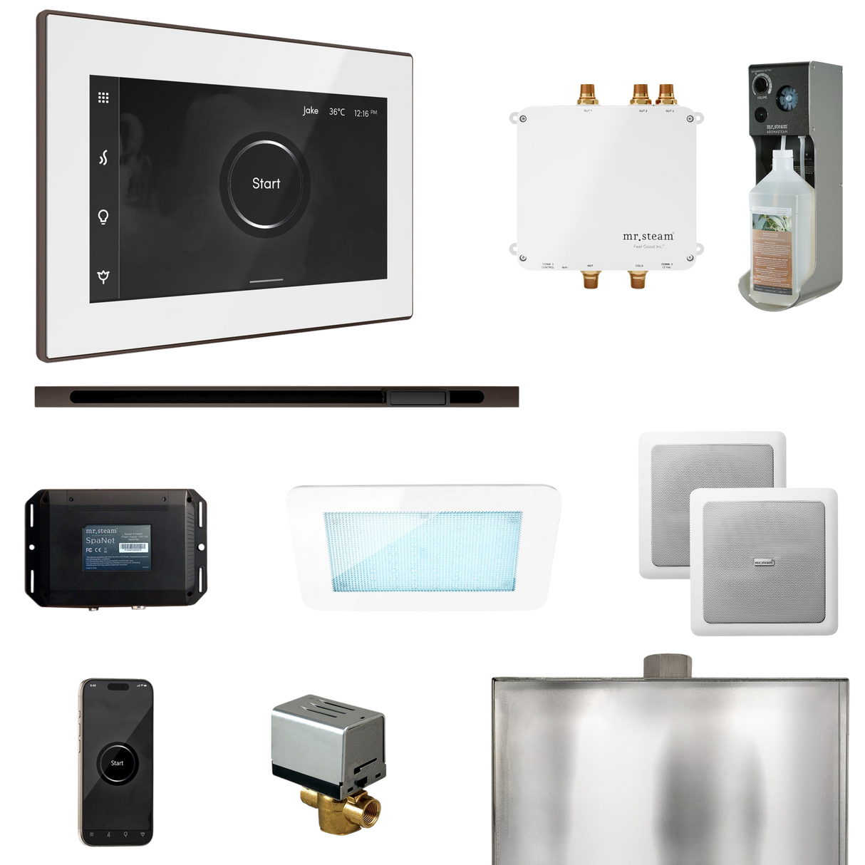 Mr. Steam Bliss Steam Shower Control Package with iSteamX Control and Linear Steamhead