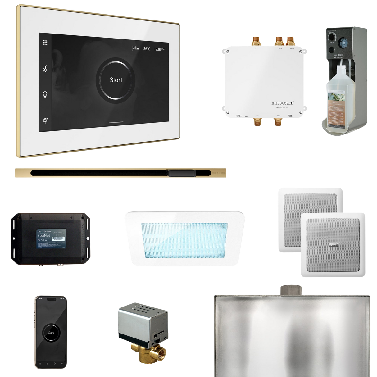 Mr. Steam Bliss Steam Shower Control Package with iSteamX Control and Linear Steamhead