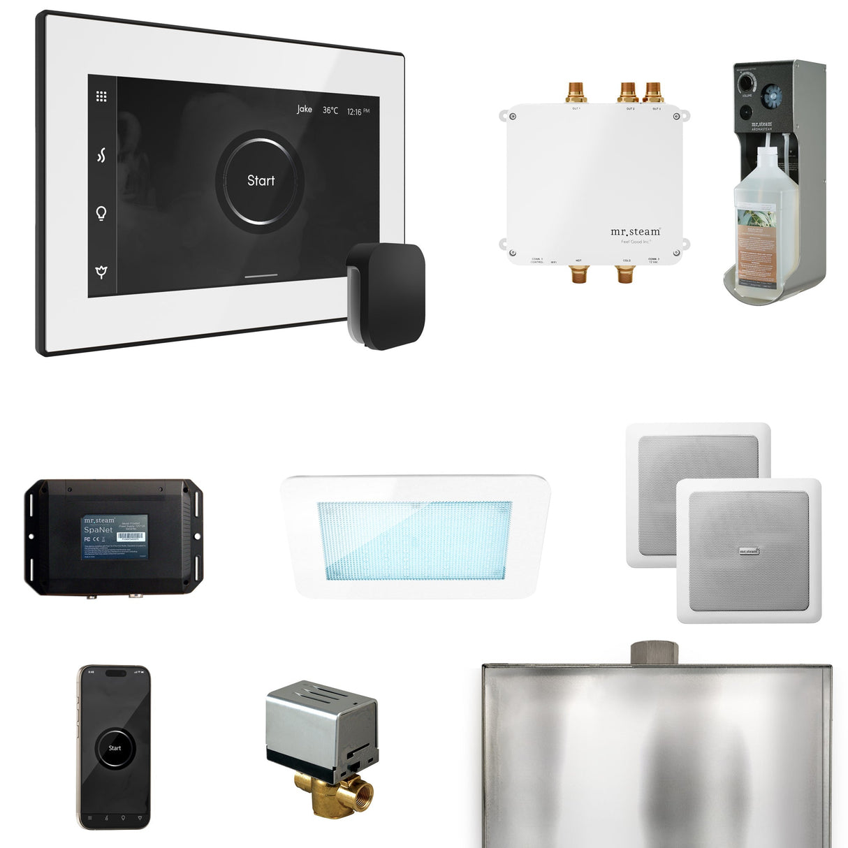Mr. Steam Bliss Steam Shower Control Package with iSteamX Control and Steamhead
