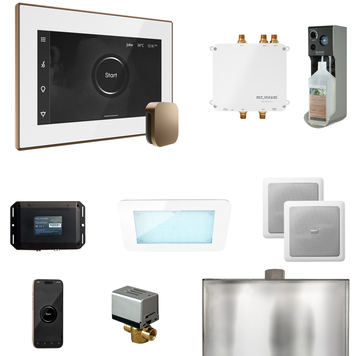 Mr. Steam Bliss Steam Shower Control Package with iSteamX Control and Steamhead