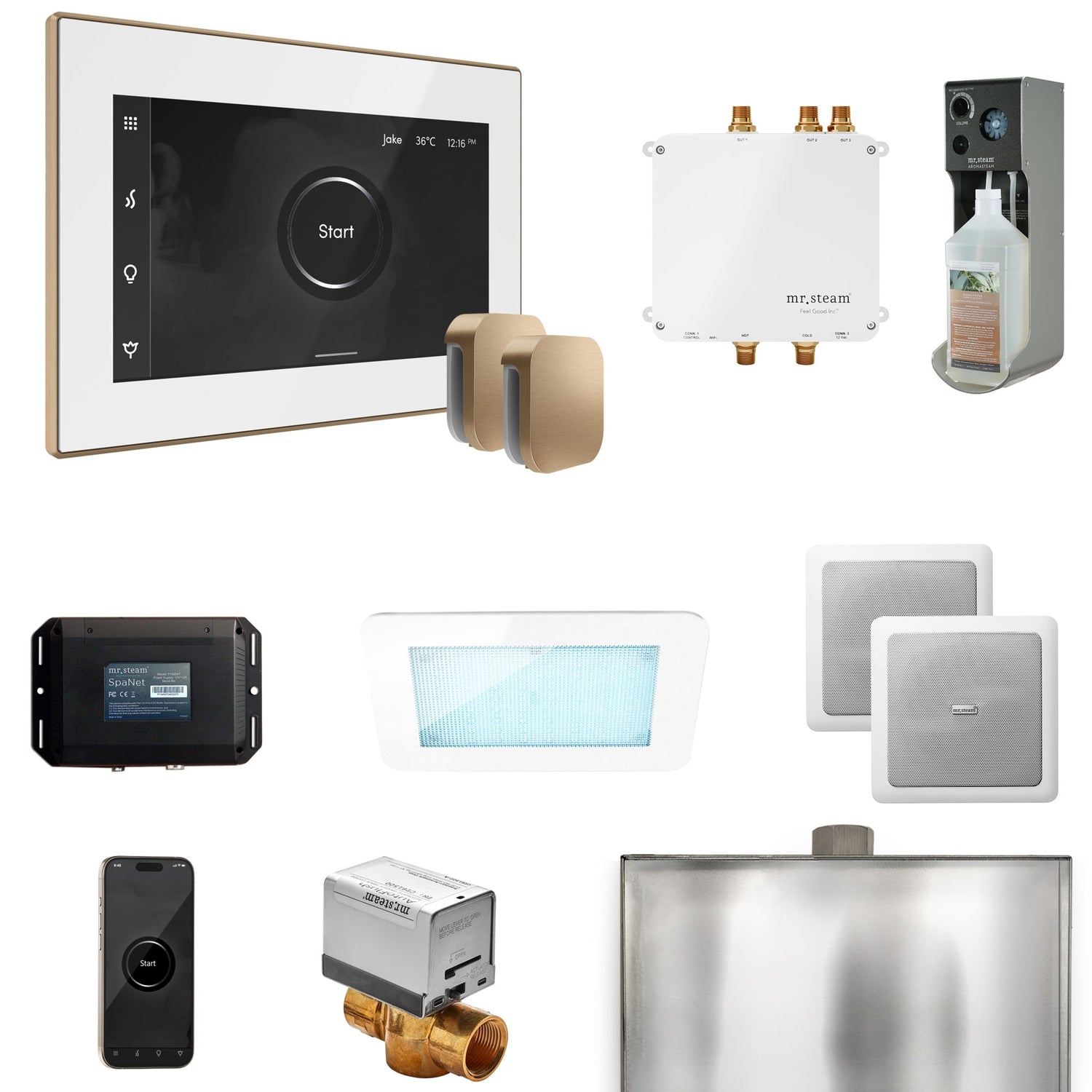Mr. Steam Bliss Max Steam Shower Control Package with iSteamX Control and Steamhead