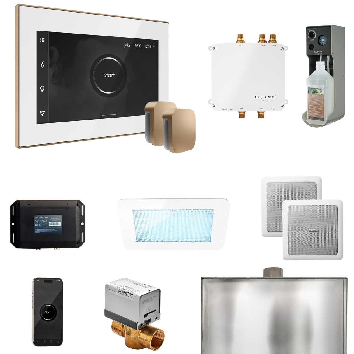 Mr. Steam Bliss Max Steam Shower Control Package with iSteamX Control and Steamhead