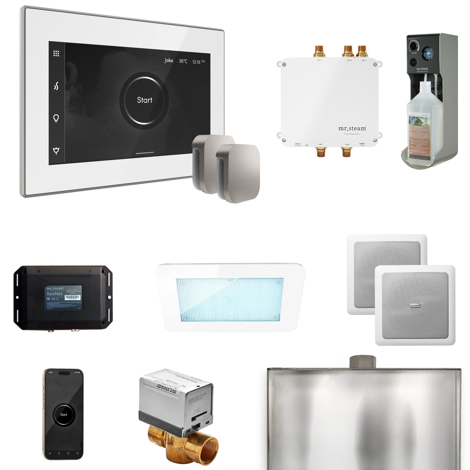Mr. Steam Bliss Max Steam Shower Control Package with iSteamX Control and Steamhead