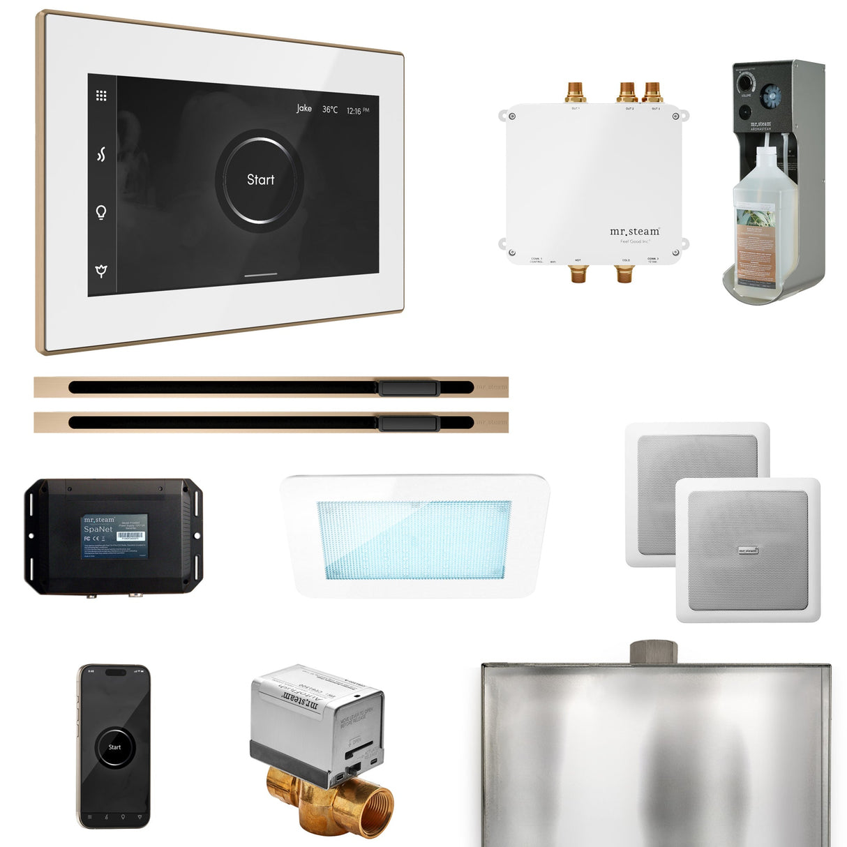 Mr. Steam Bliss Max Steam Shower Control Package with iSteamX Control and Linear Steamhead